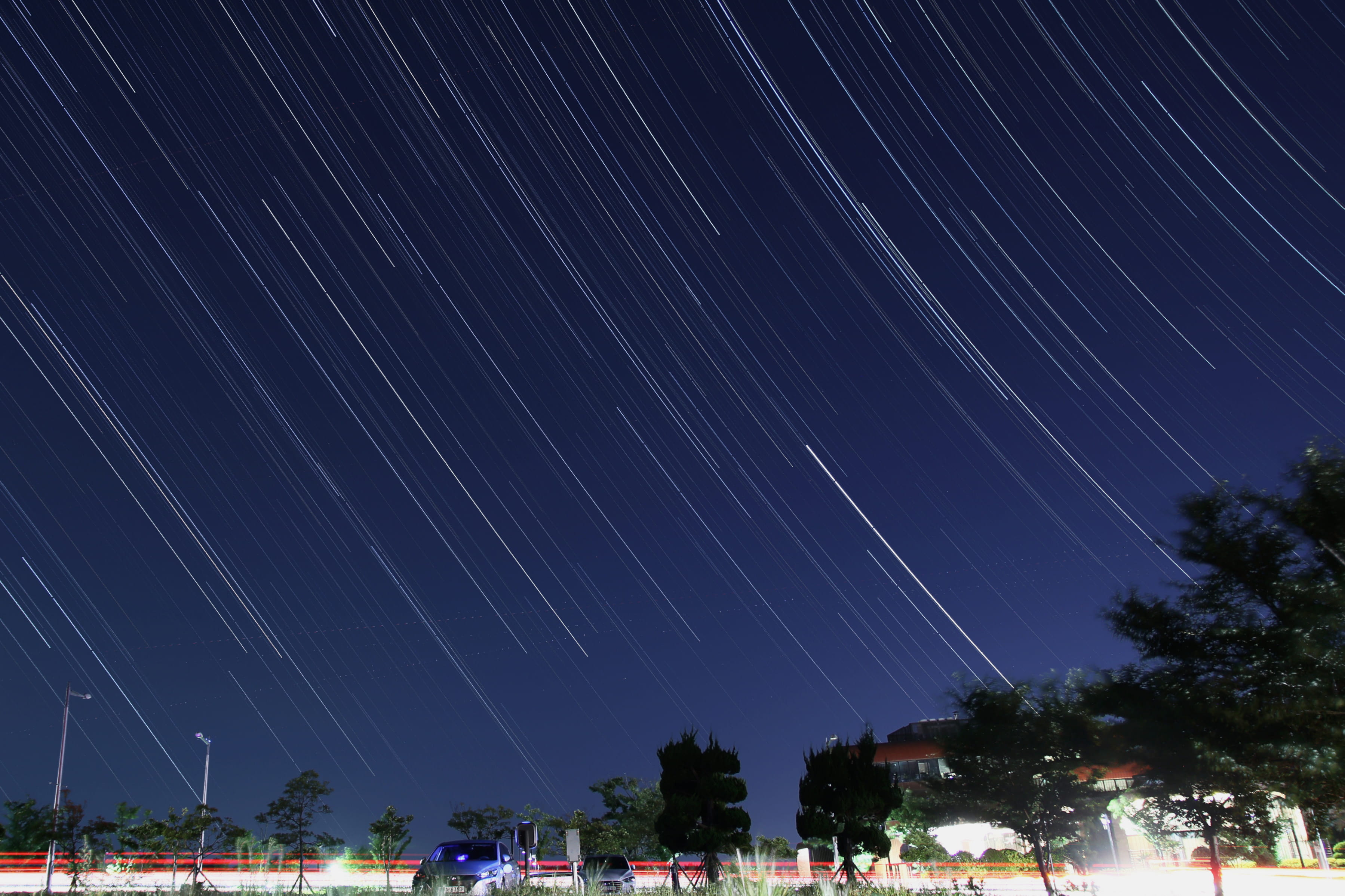 star field, outdoors, plant, nature, star trail, space and astronomy, 2K, galaxy, no people, tree, astronomy, illuminated, motion, star, space, science, HD Wallpaper