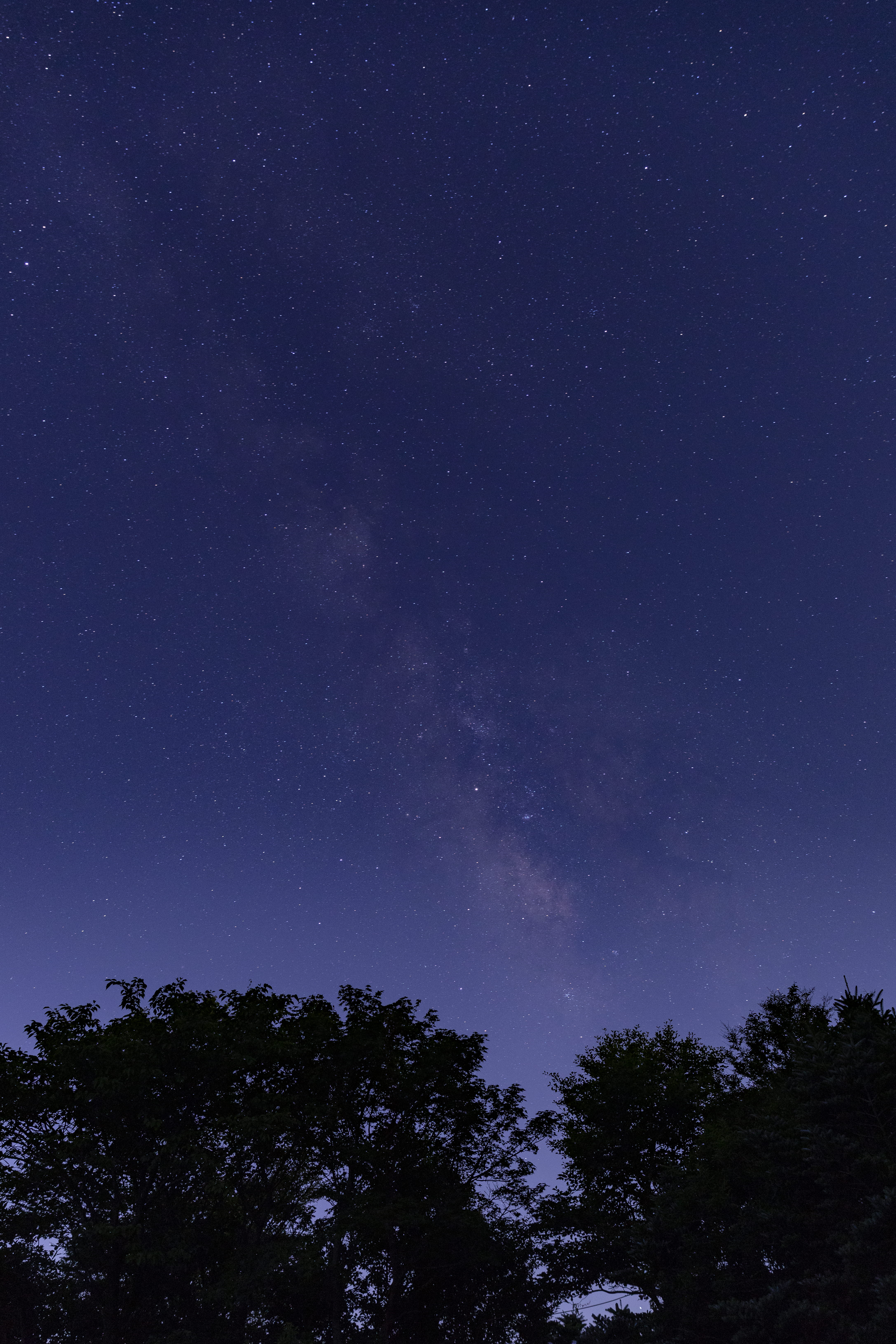 star, night, astrophotography, tranquil scene, blue, nature, beauty in nature, sky, tall, starry sky, tranquility, idyllic, universe, growth, galaxy, 5K, Phone HD Wallpaper