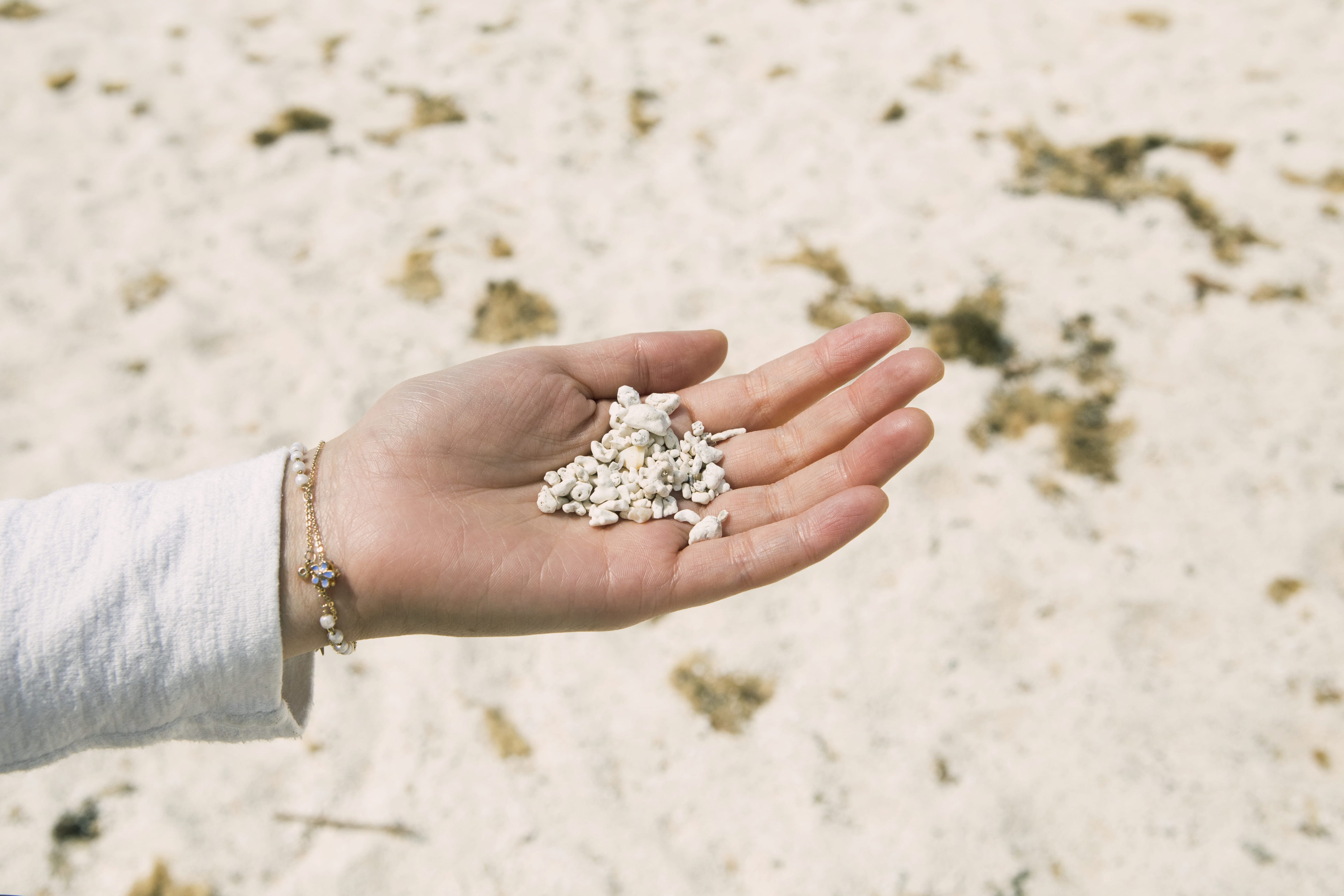 focus on foreground, jeju, finger, body part, human finger, outdoors, hand, beach, jeju-do, south korea, real people, land, lifestyles, close-up, human limb, HD Wallpaper