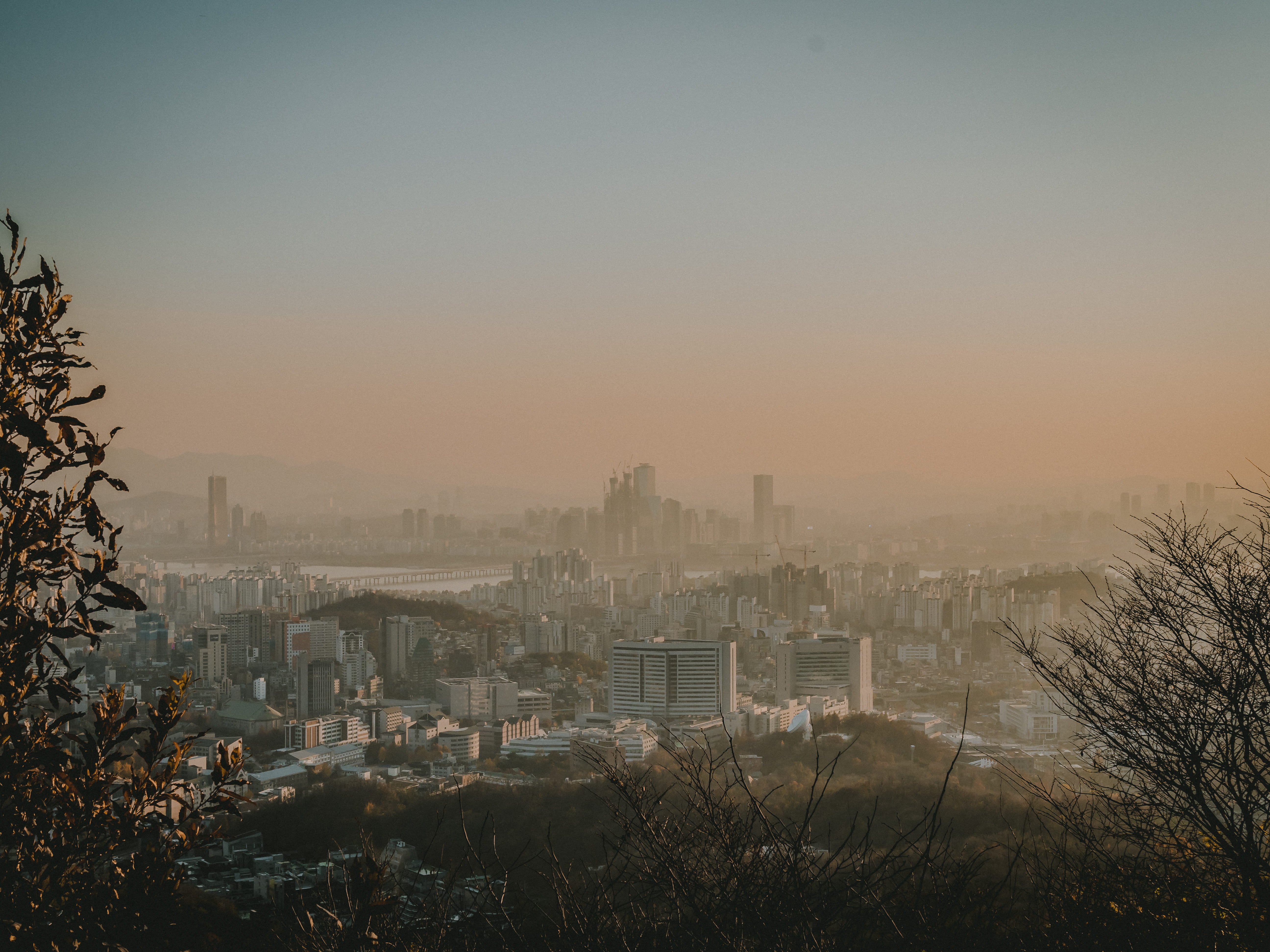 sunset, top, nature, asia, clear sky, pollution, high angle view, fog, residential district, view, Bukchon, tree, building, outdoors, korea, built structure, HD Wallpaper