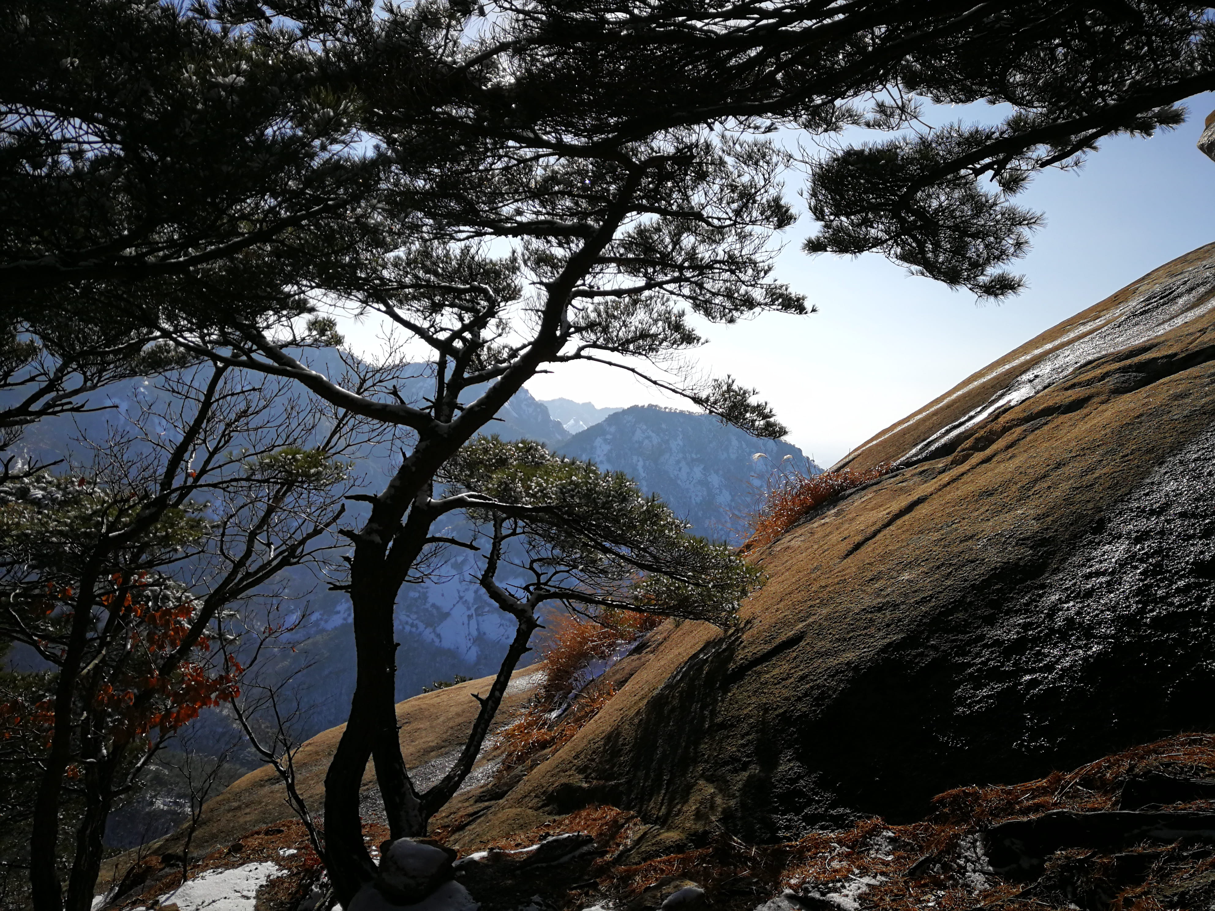 environment, seoul, non-urban scene, day, scenics - nature, south korea, view, tranquility, national park, hike, no people, branch, bukhansan national park, HD Wallpaper