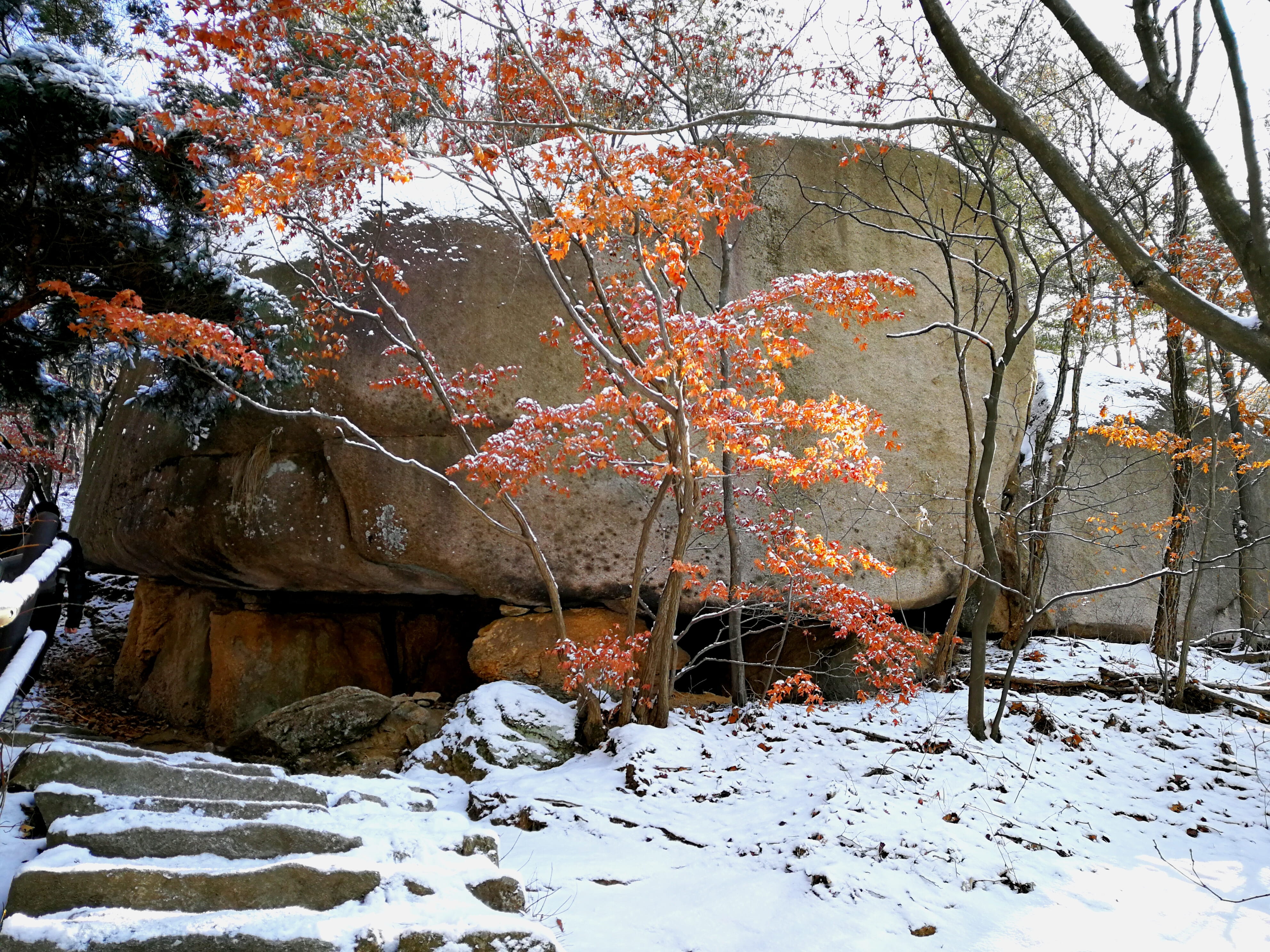 tranquility, scenics - nature, winter, leaves, outdoors, tranquil scene, 4K, orange color, non-urban scene, national park, cold temperature, no people, HD Wallpaper