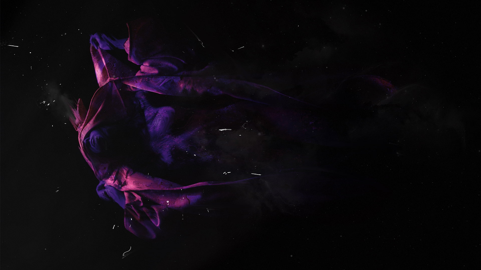 simple, purple, water, sea, night, animal, animals in the wild, nature, Hani Jamal, underwater, blue, black background, dark, creativity, beauty in nature, HD Wallpaper