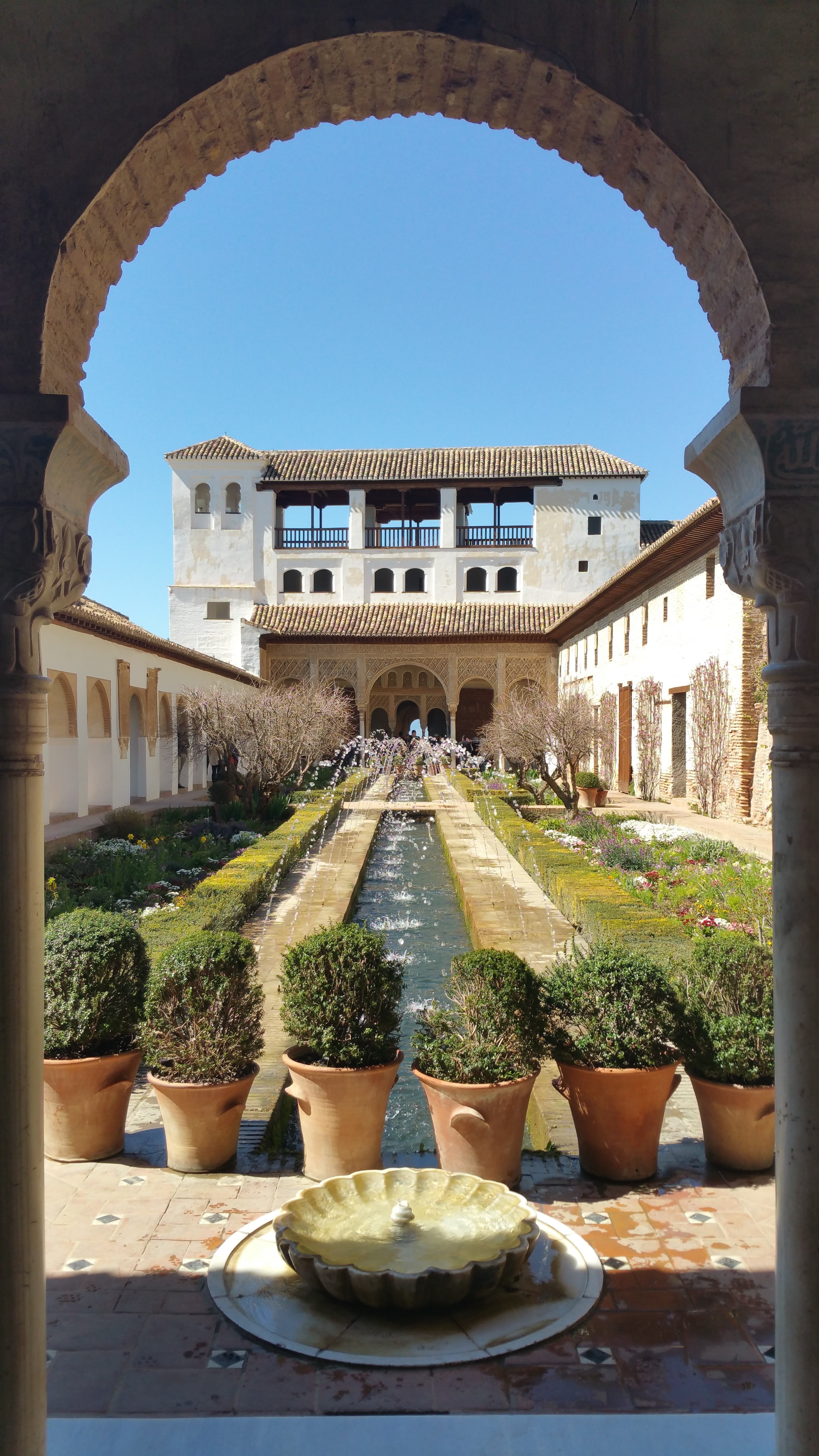 royal, granada, alhambra, fortress, history, pavillon, arch, castle, clear sky, potted plant, day, architecture, travel destinations, outdoors, water, built structure, Phone HD Wallpaper