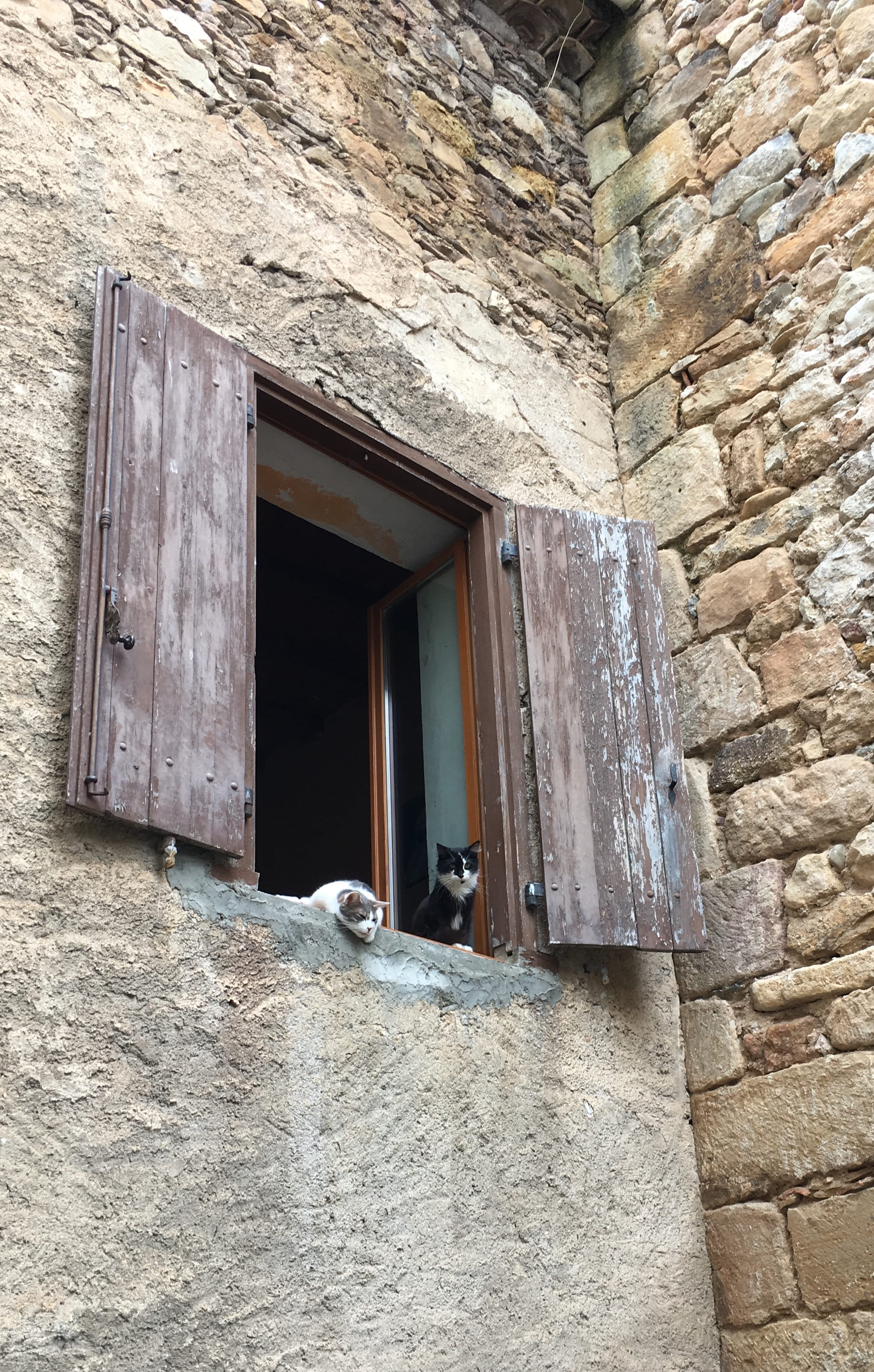 low angle view, window, animal themes, day, entrance, no people, open, building, animal, stone wall, built structure, 23 rue nicolas pavillon, 2K, wall - building feature, Phone HD Wallpaper