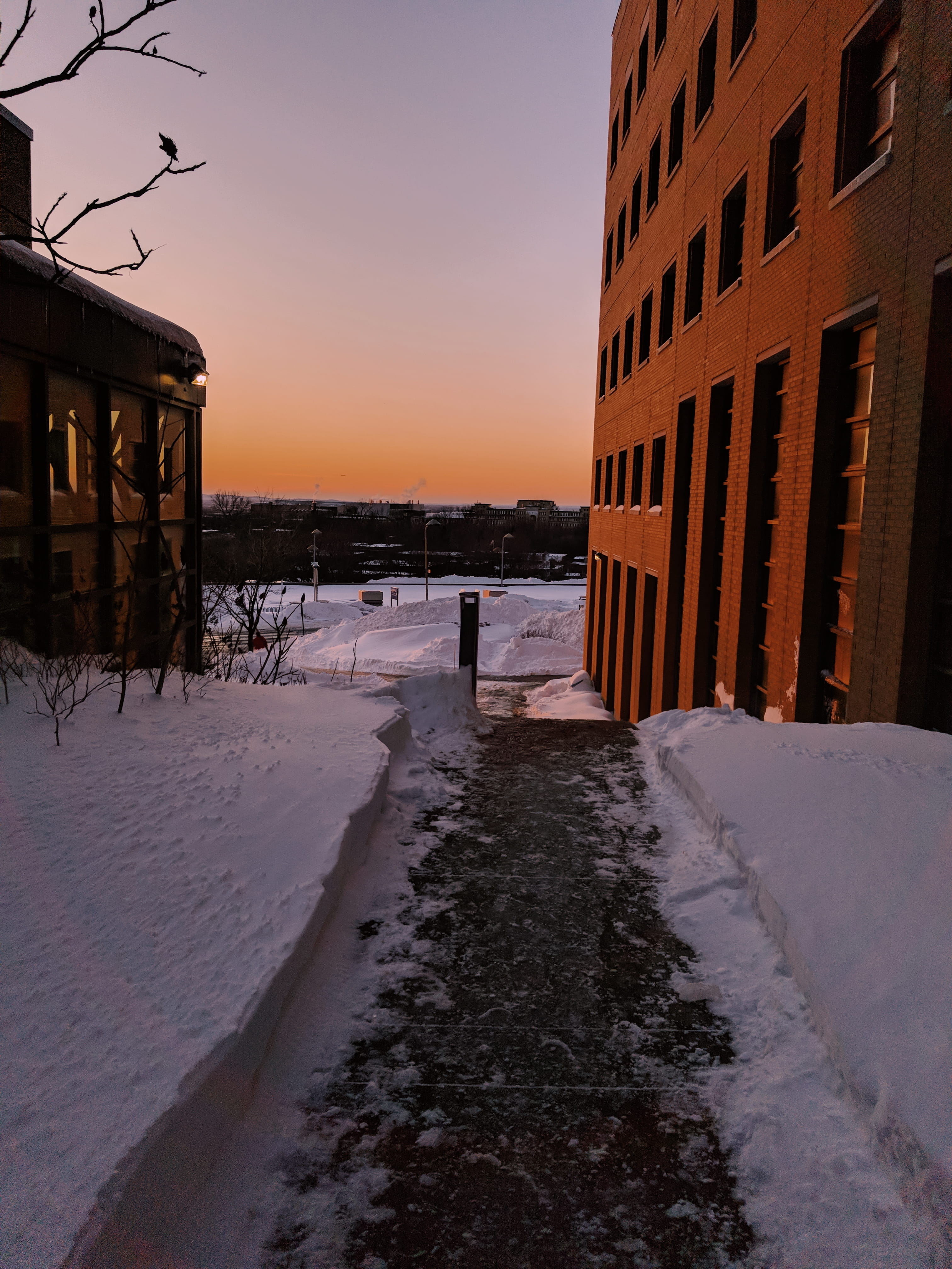 cold temperature, sky, view, udem, scenics - nature, no people, beauty in nature, building, building exterior, plant, outdoors, road, tree, montreal, city, Phone HD Wallpaper