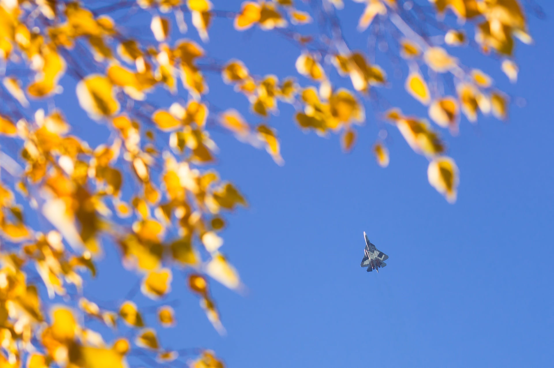 T-50, Dry, PAK FA, fighter, 1080P, Su-57, HD Wallpaper
