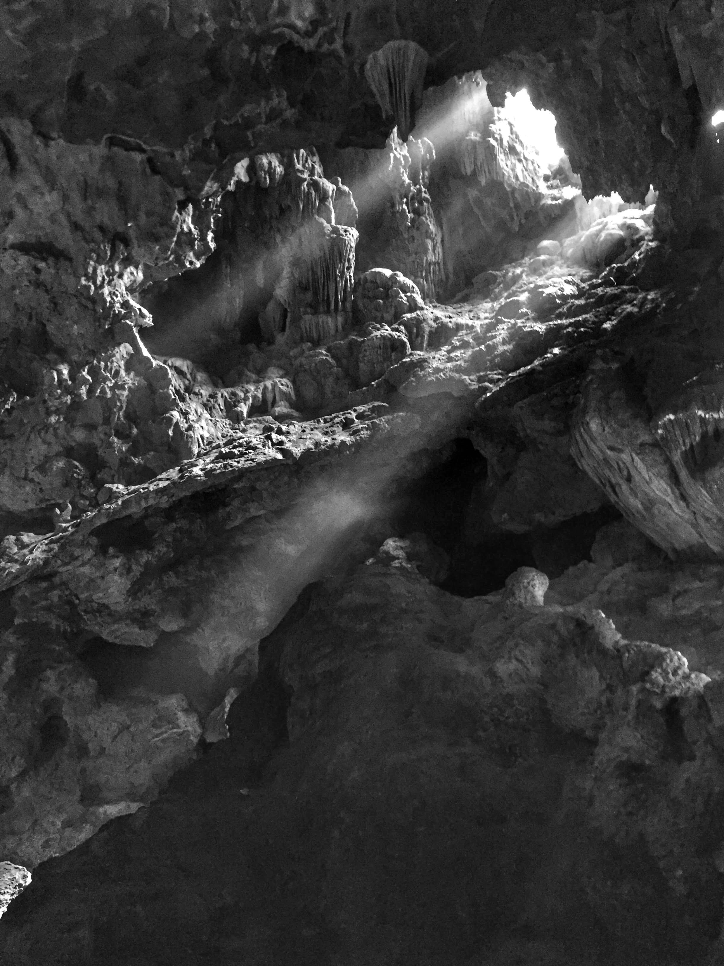 non-urban scene, cave, sunlight, leaf, desktop, palm, sea, texture, black and white, land, wood, seashore, beach, rock - object, tourism, close-up, no people, Phone HD Wallpaper
