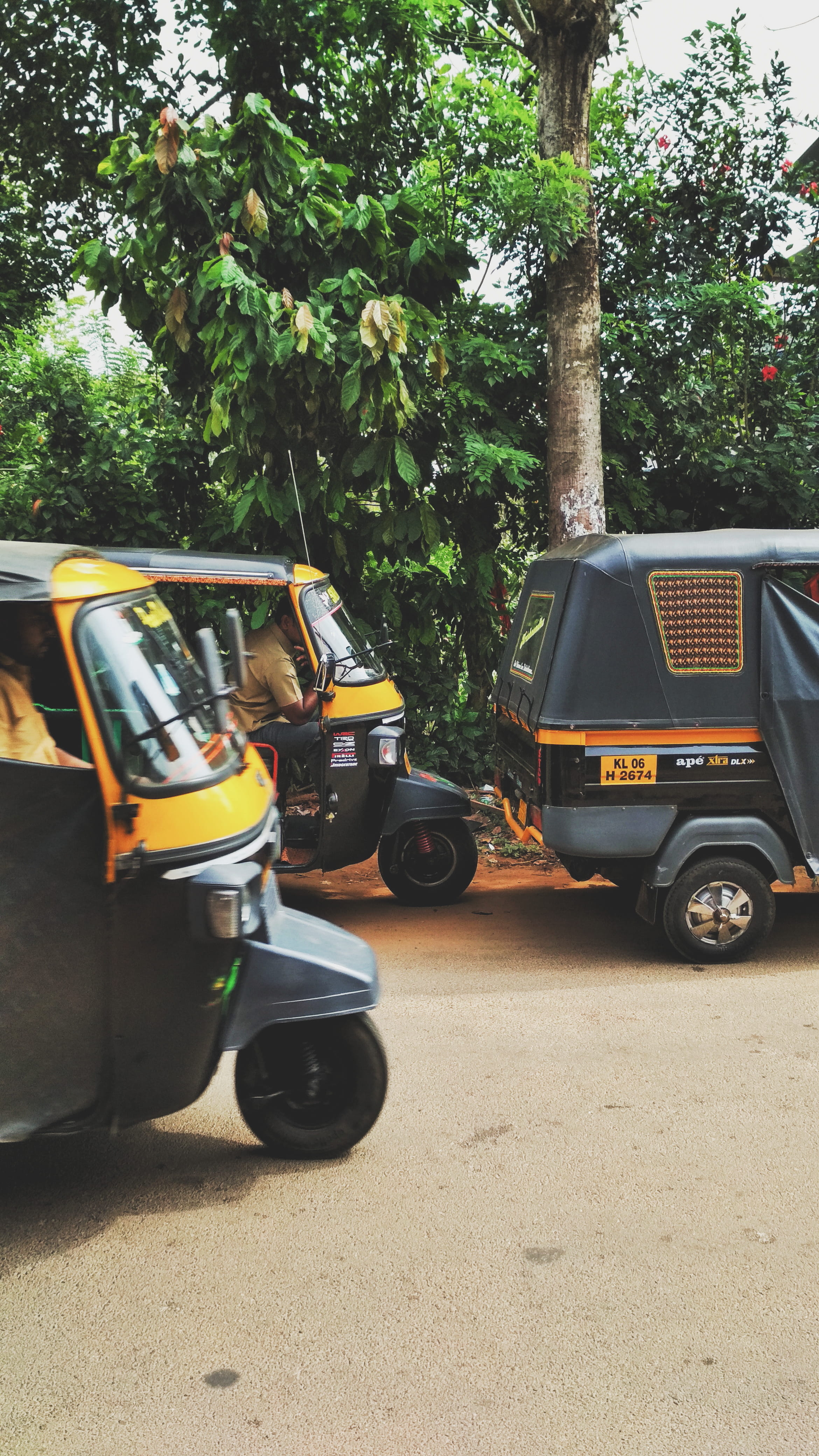 motor vehicle, rickshaw, travel, truck, growth, city, mode of transportation, road, auto, transportation, 4K, tree, no people, sunlight, nature, day, plant, Phone HD Wallpaper