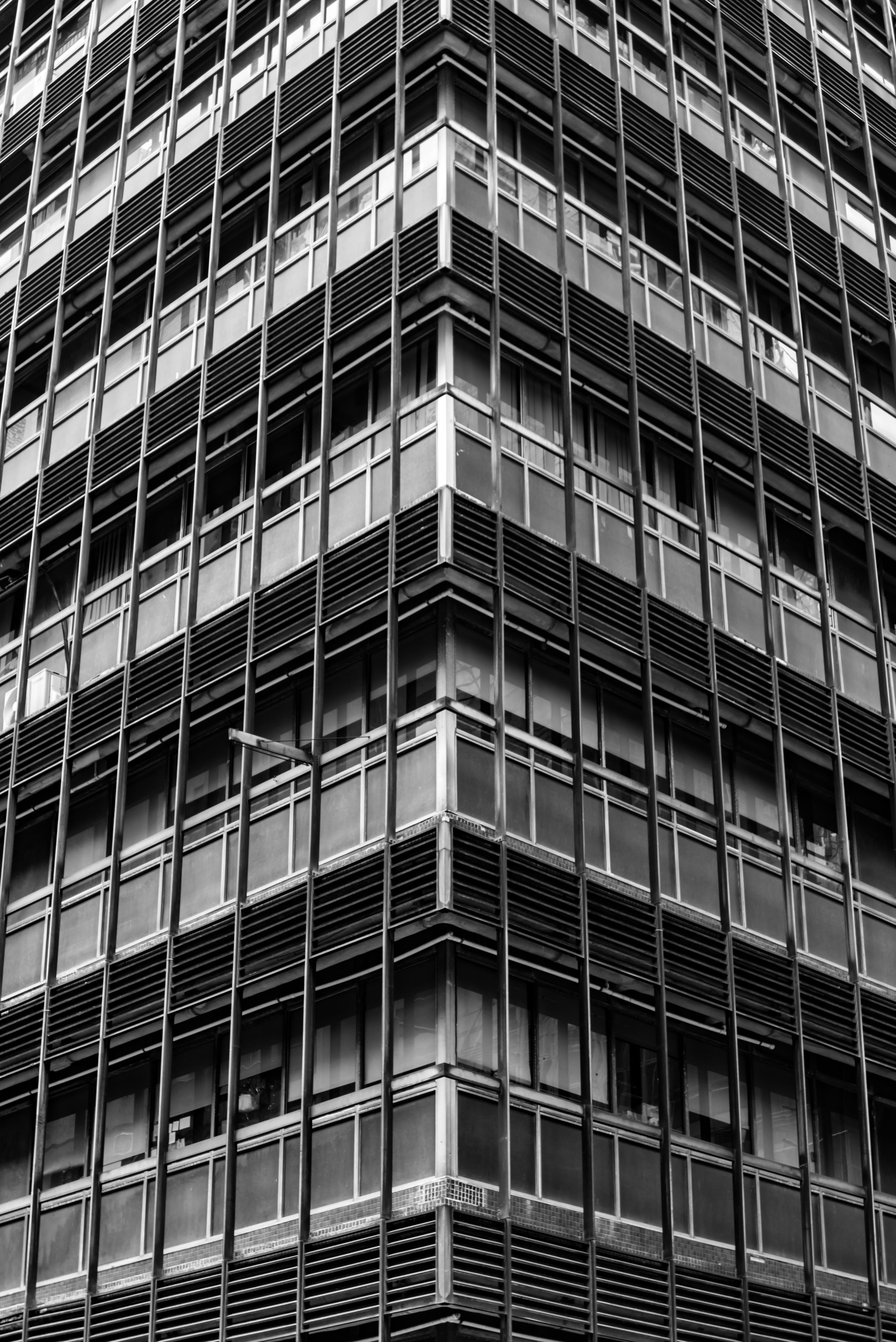city, tree, black and white, silhouette, building exterior, tsim sha tsui, skyscraper, office building, plant, grille, glass - material, high rise, residential district, Phone HD Wallpaper