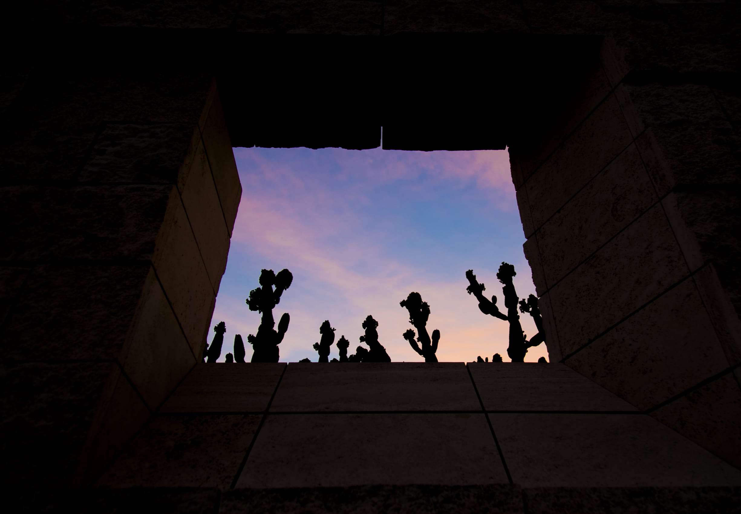 lifestyles, women, nature, architecture, crowd, building exterior, silhouette, the getty, people, picture, sunset, group, tree, garden, low angle view, HD Wallpaper
