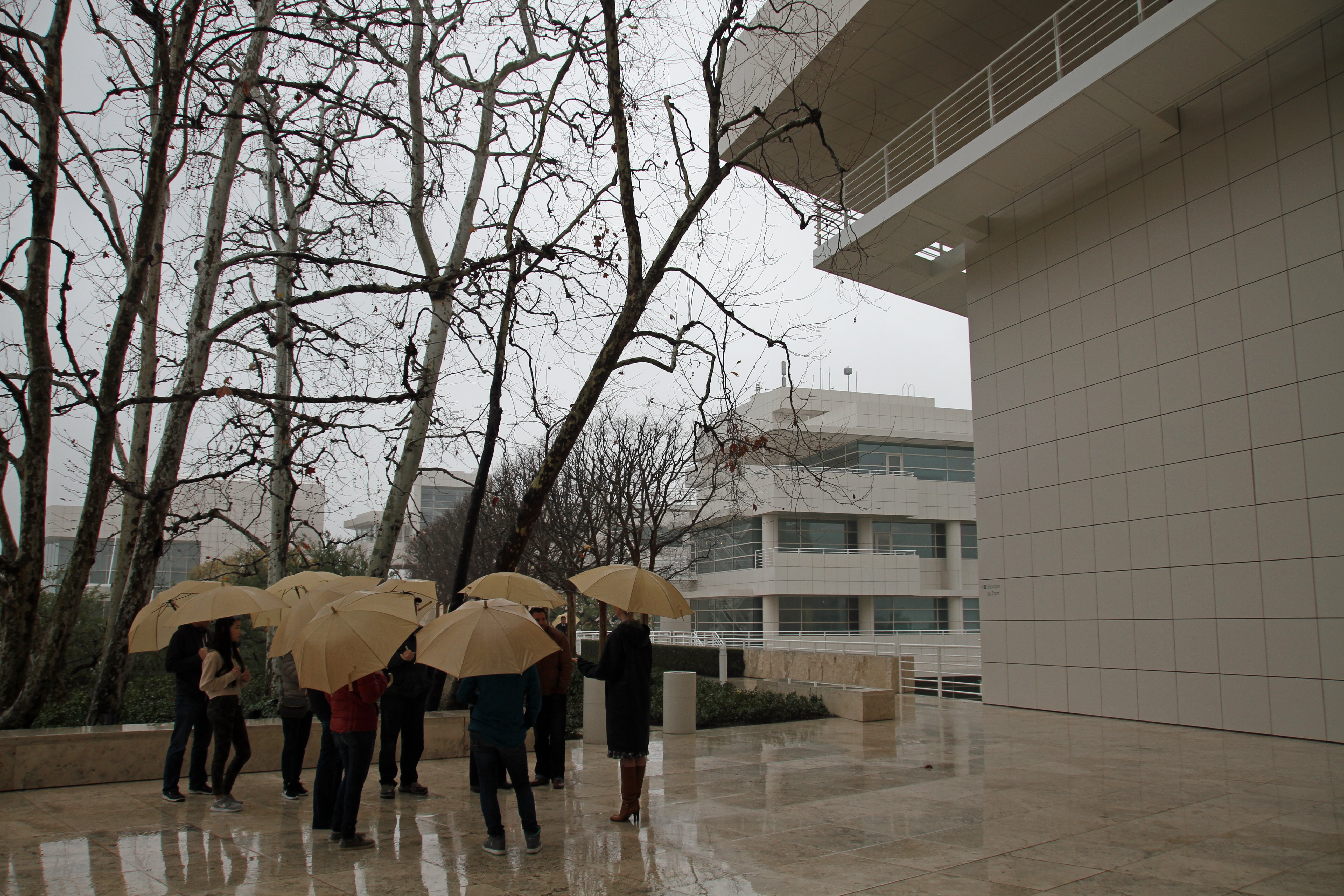 museum, group, building, people, building exterior, outdoors, walking, rainy season, umbrellas, plant, rain, built structure, women, los angeles, tree, HD Wallpaper