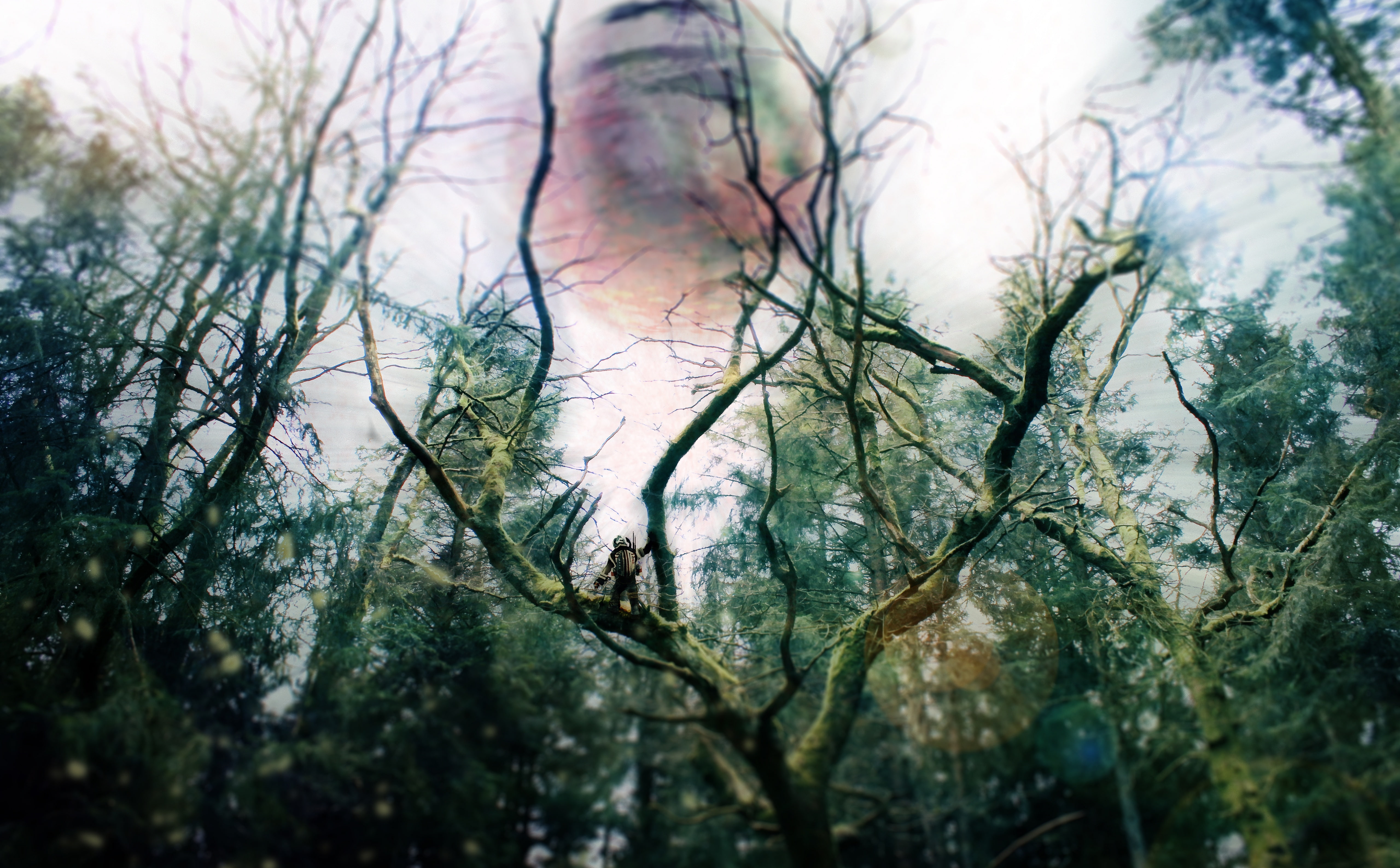 tranquility, branch, sky, planet, growth, forest, noxx rogg, nature, outdoors, artistic, space, lone, land, forests, wanderer, digital composite, noxxrogg, HD Wallpaper