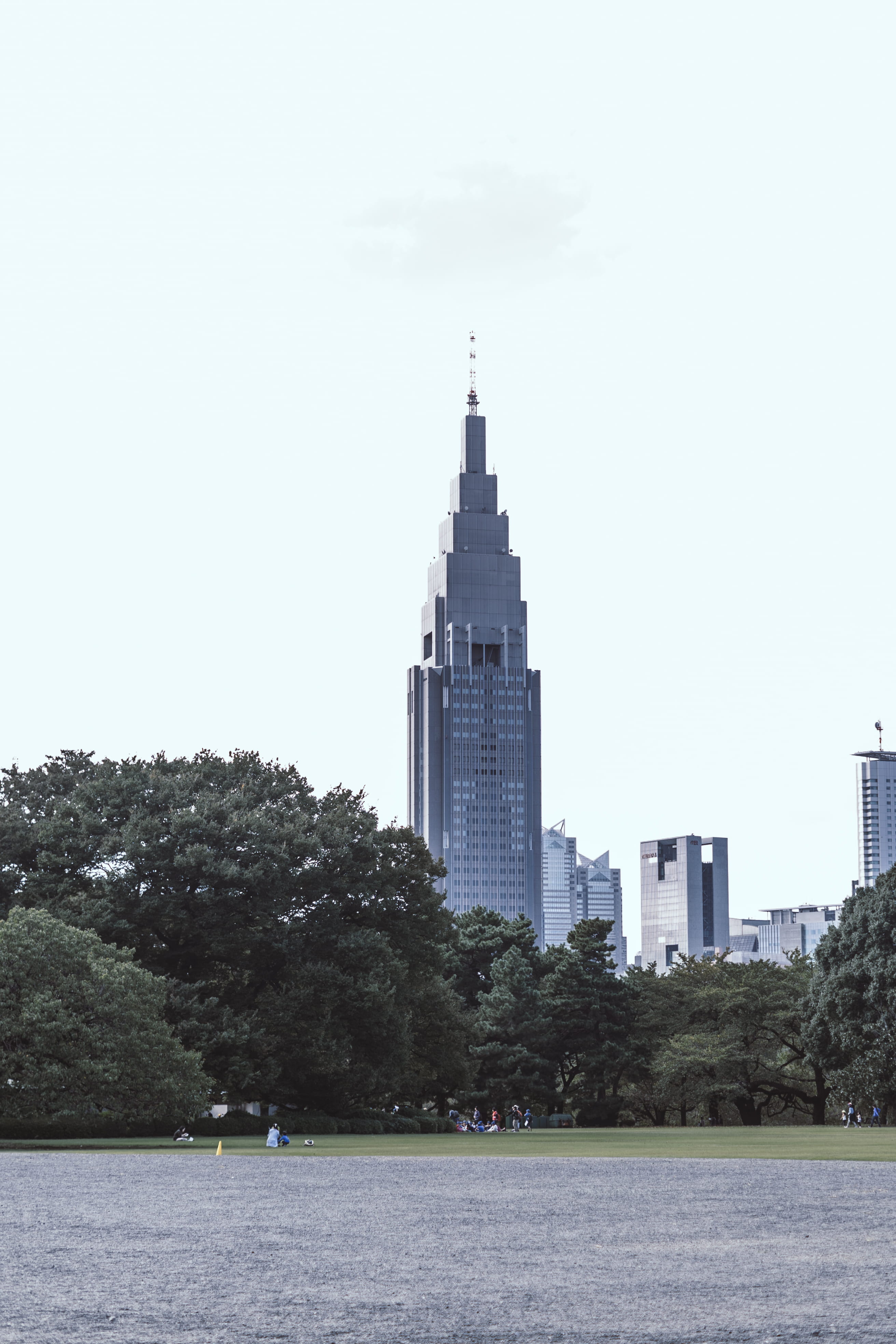 nature, japan, building exterior, waterfront, 4K, modern, financial district, lonely planet, city, shinjuku-ku, plant, built structure, shinjuku, shinjuku gyoen national garden, Phone HD Wallpaper