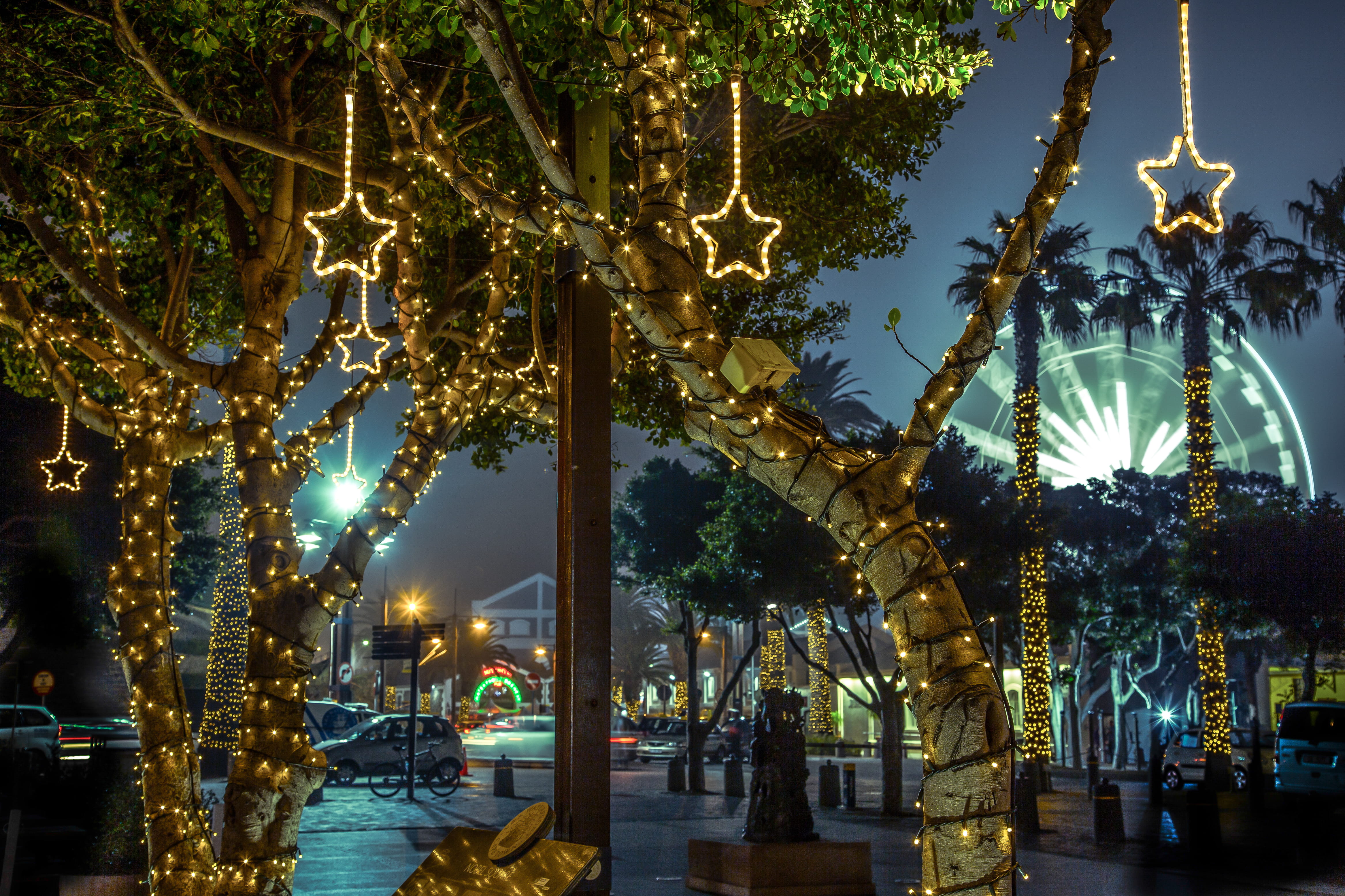waterfront, twinkle, incidental people, night, decoration, illuminated, 4K, hanging, trees, lights, fairylights, light, outdoors, long exposure, color, HD Wallpaper