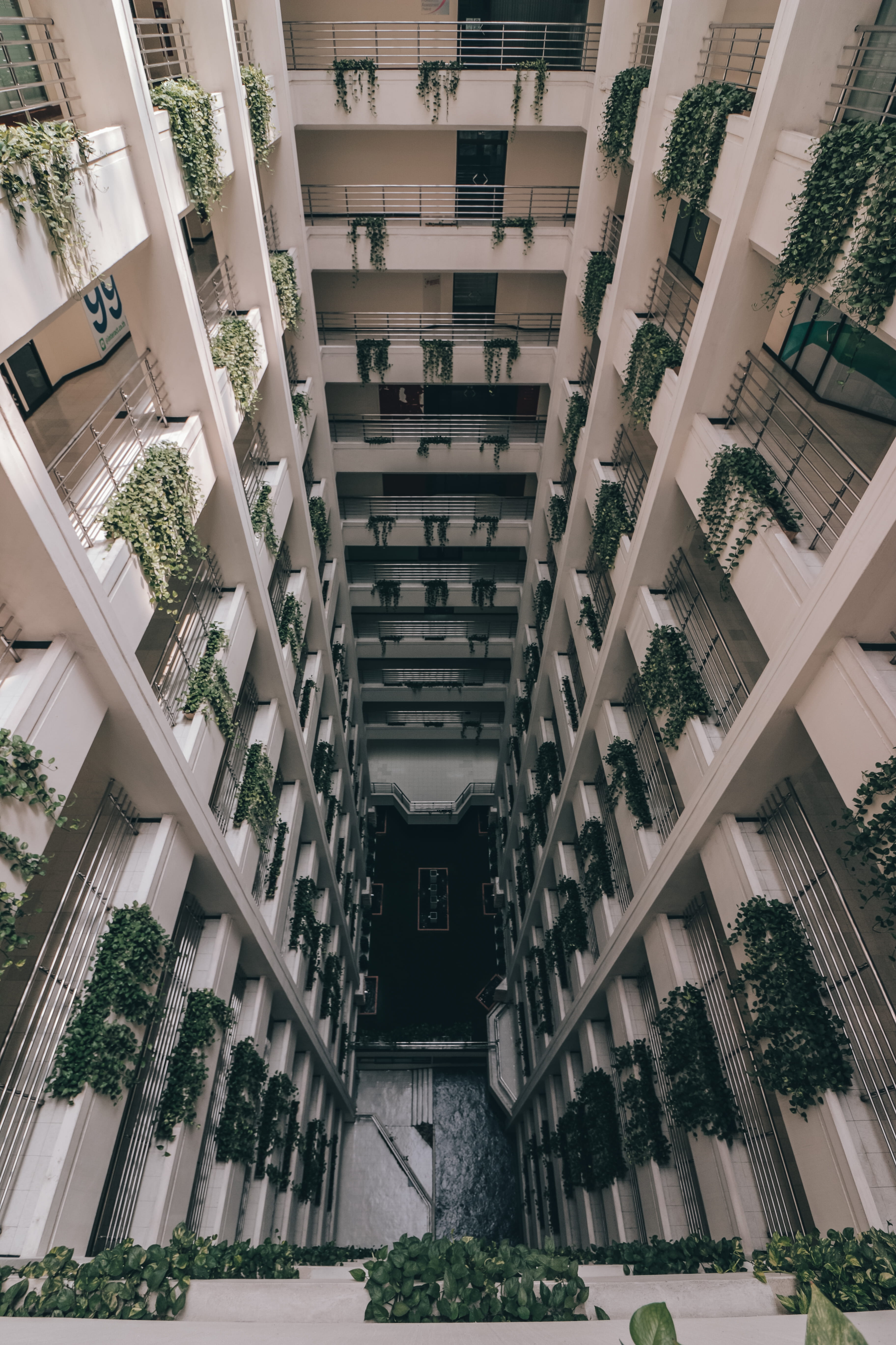 botanical, outdoors, asia, thailand, concrete, photograph, levels, residential District, hong Kong, city, building levels, mob, urban Scene, concrete jungle, Phone HD Wallpaper