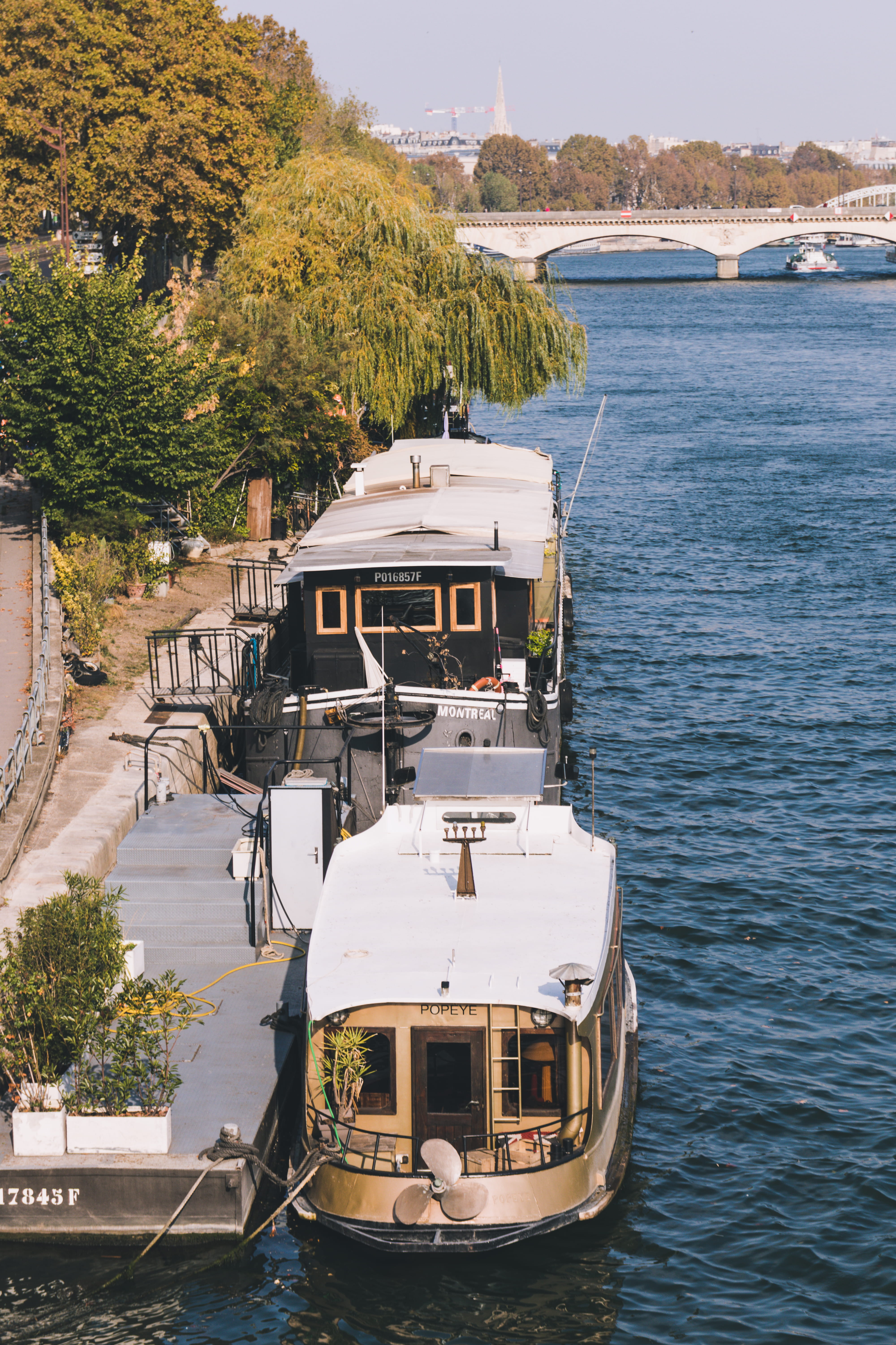 barge, boats, cruise ship, mode of transportation, sea, vehicle, daytime, nautical vessel, river, travel, plant, waterfront, sunlight, paris, cable car, Phone HD Wallpaper