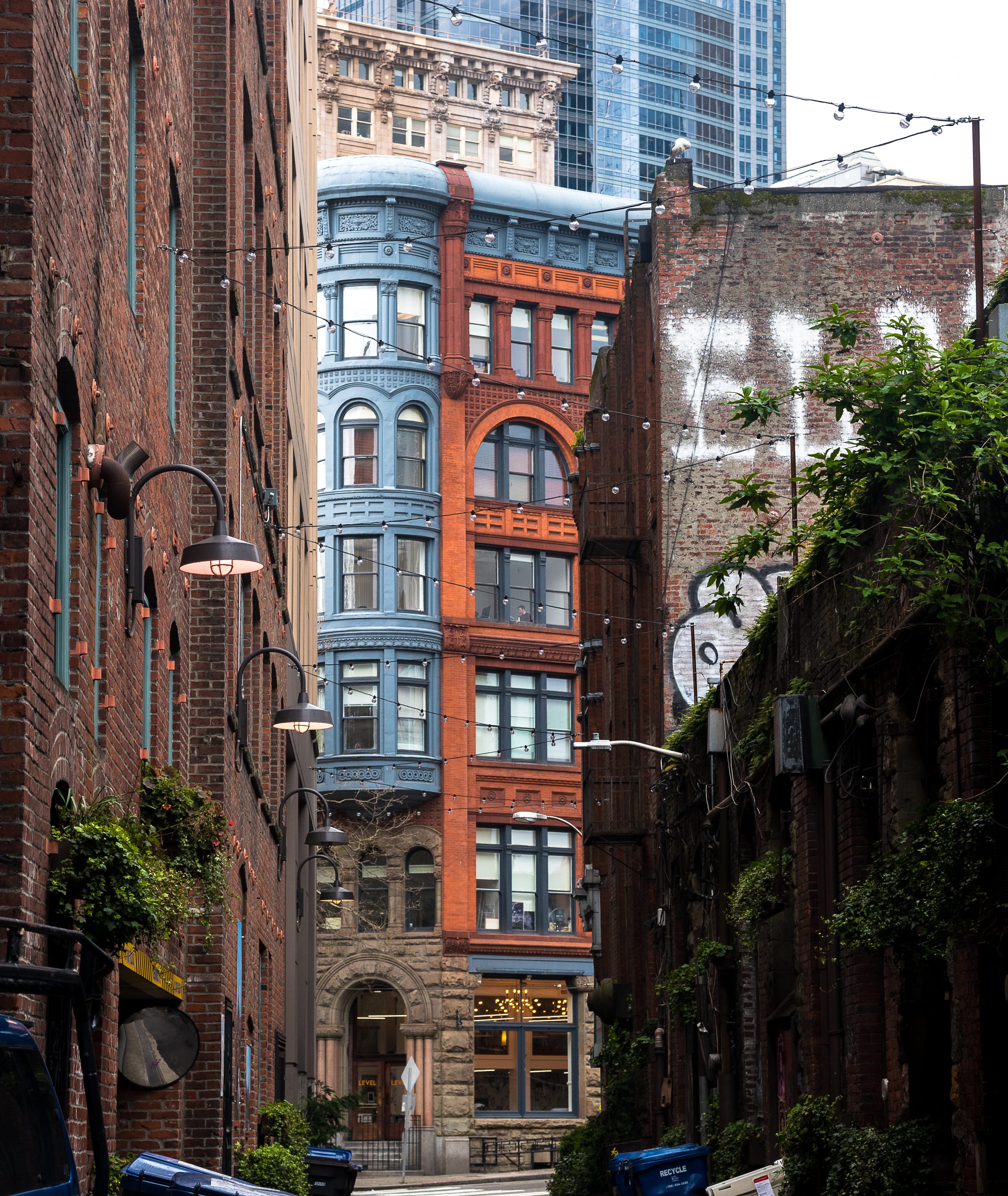 apartment, urban, window, built structure, pioneer square, transportation, 4K, day, concrete jungle, plant, brick house, united states, nature, city, outdoors, Phone HD Wallpaper