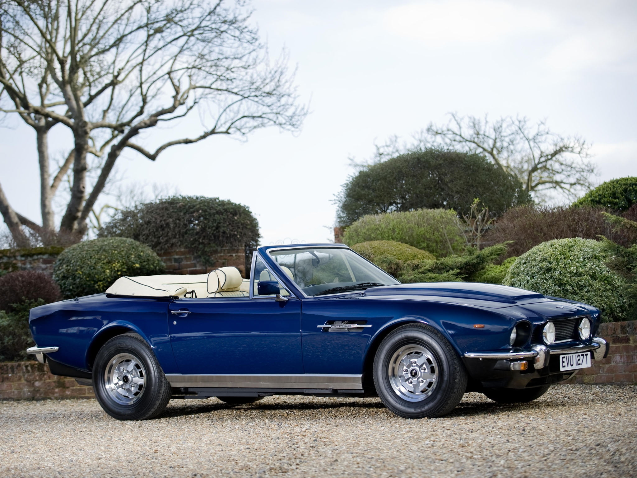 mode of Transport, convertible, no People, parking, stationary, luxury, antique, blue, transportation, road, cars, car, nature, aston martin, plant, motor Vehicle, HD Wallpaper