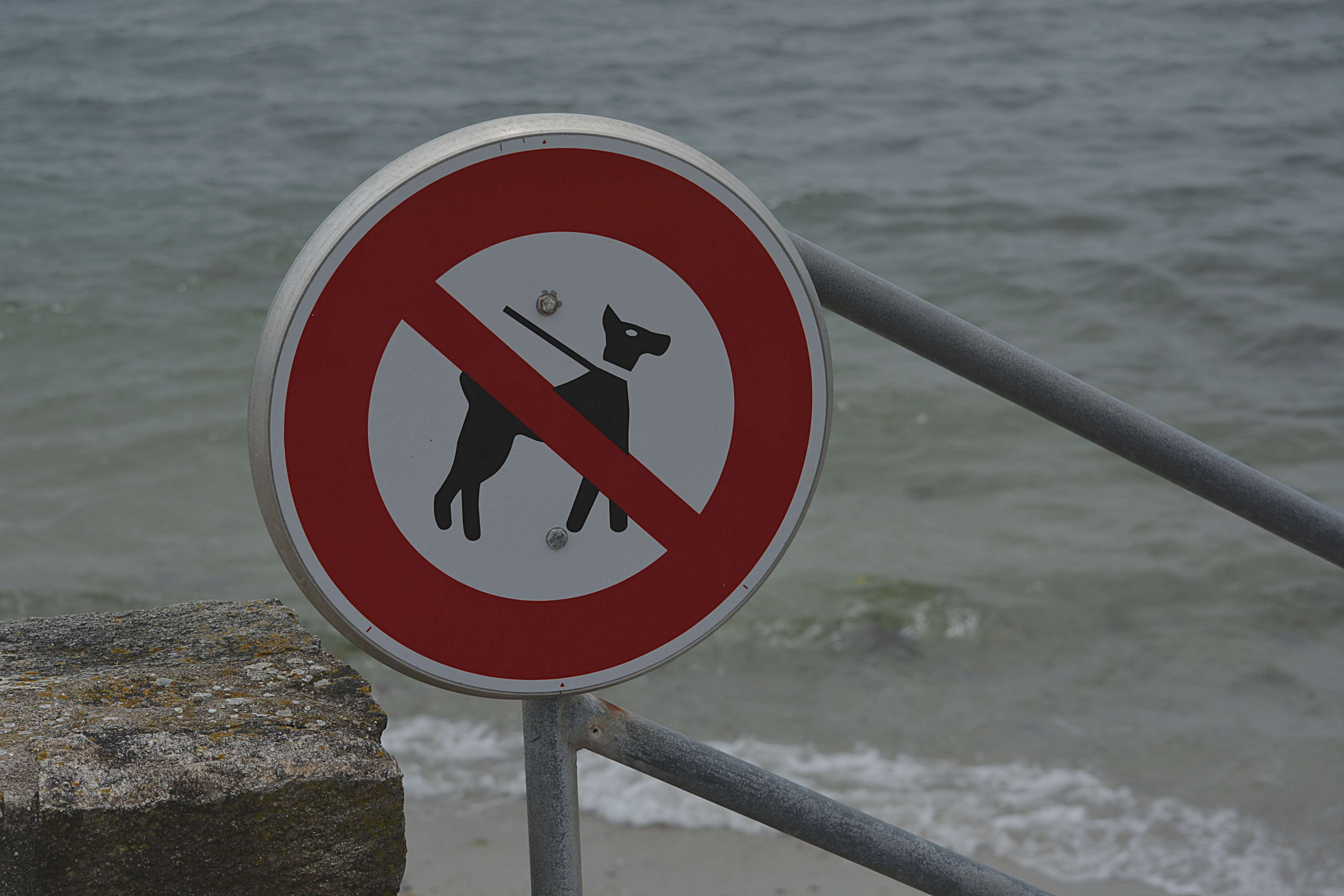 representation, chiens, no people, information sign, information symbol, plage, interdit aux chiens, water, circle, 4K, information, focus on foreground, HD Wallpaper