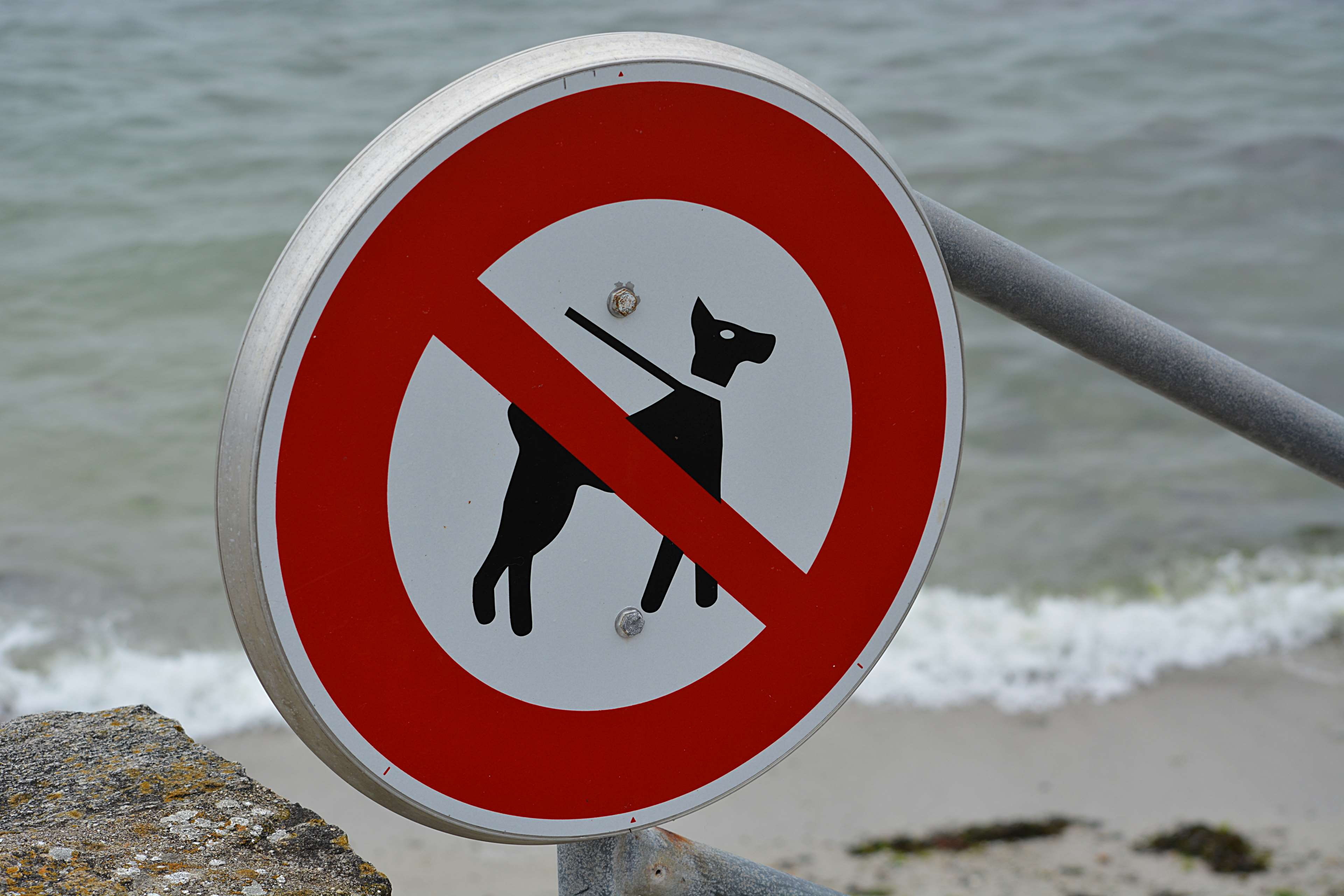 no people, panneau, red, safety, interdit aux chiens, communication, circle, outdoors, shape, water, 4K, plage, rouge, focus on foreground, geometric shape, HD Wallpaper