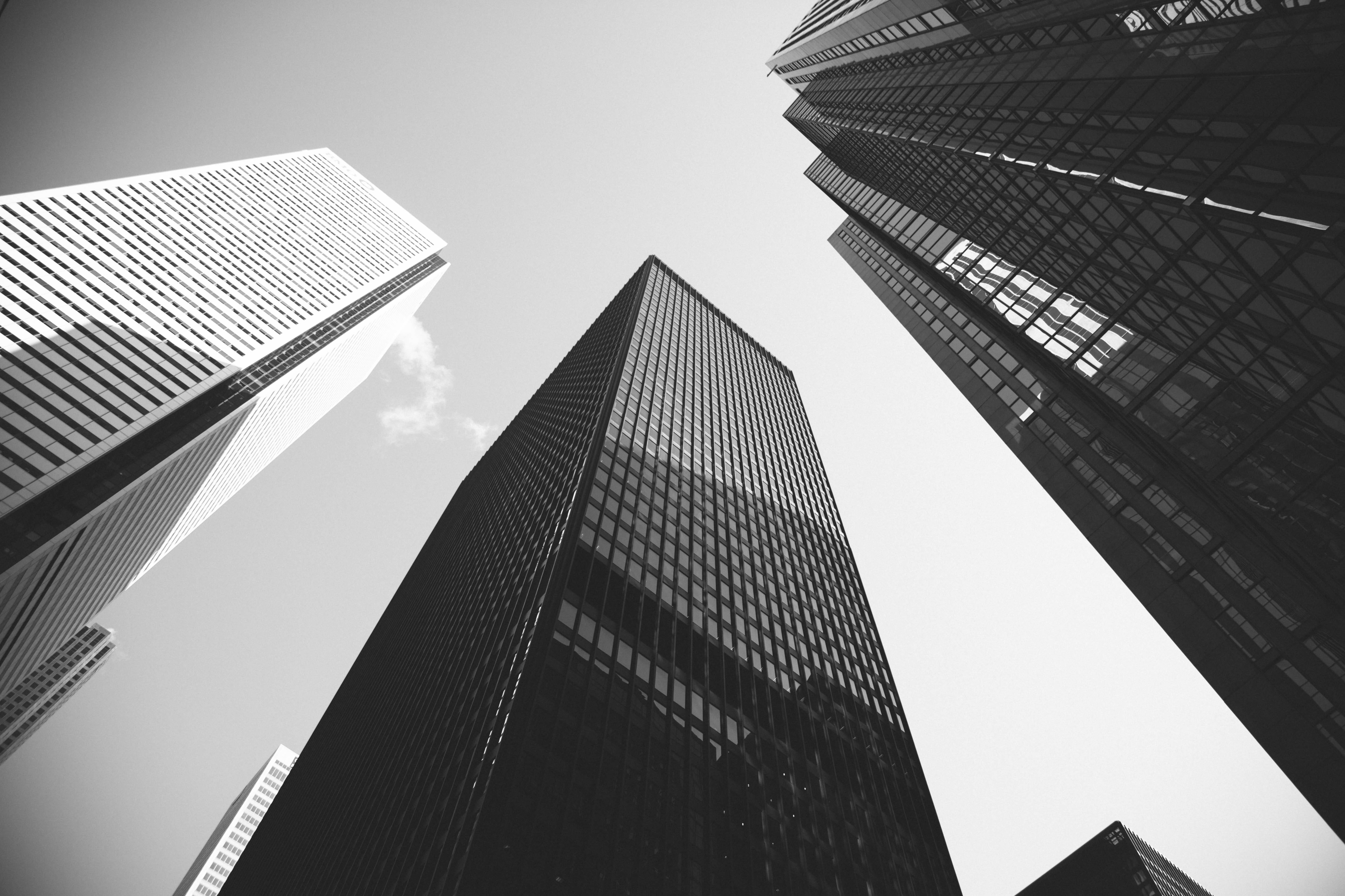 toronto, city, canadian, corporate, no people, building exterior, day, directly below, king street west, black and white, tall - high, outdoors, office, HD Wallpaper