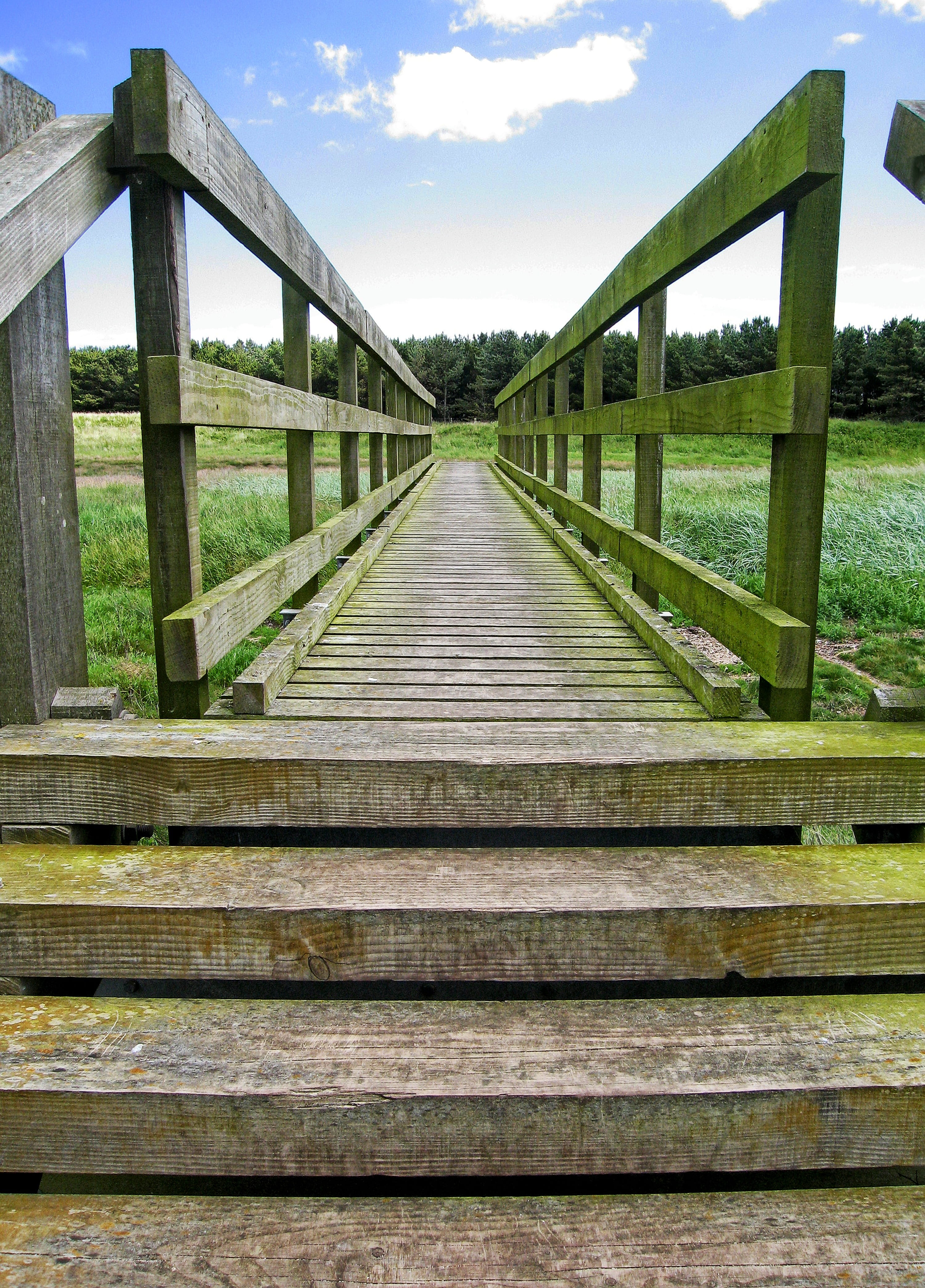 goal, crossing, landscape, wood - Material, journey, tranquil scene, wooden, converge, bridge - Man Made Structure, target, 4K, adventure, connection, Phone HD Wallpaper