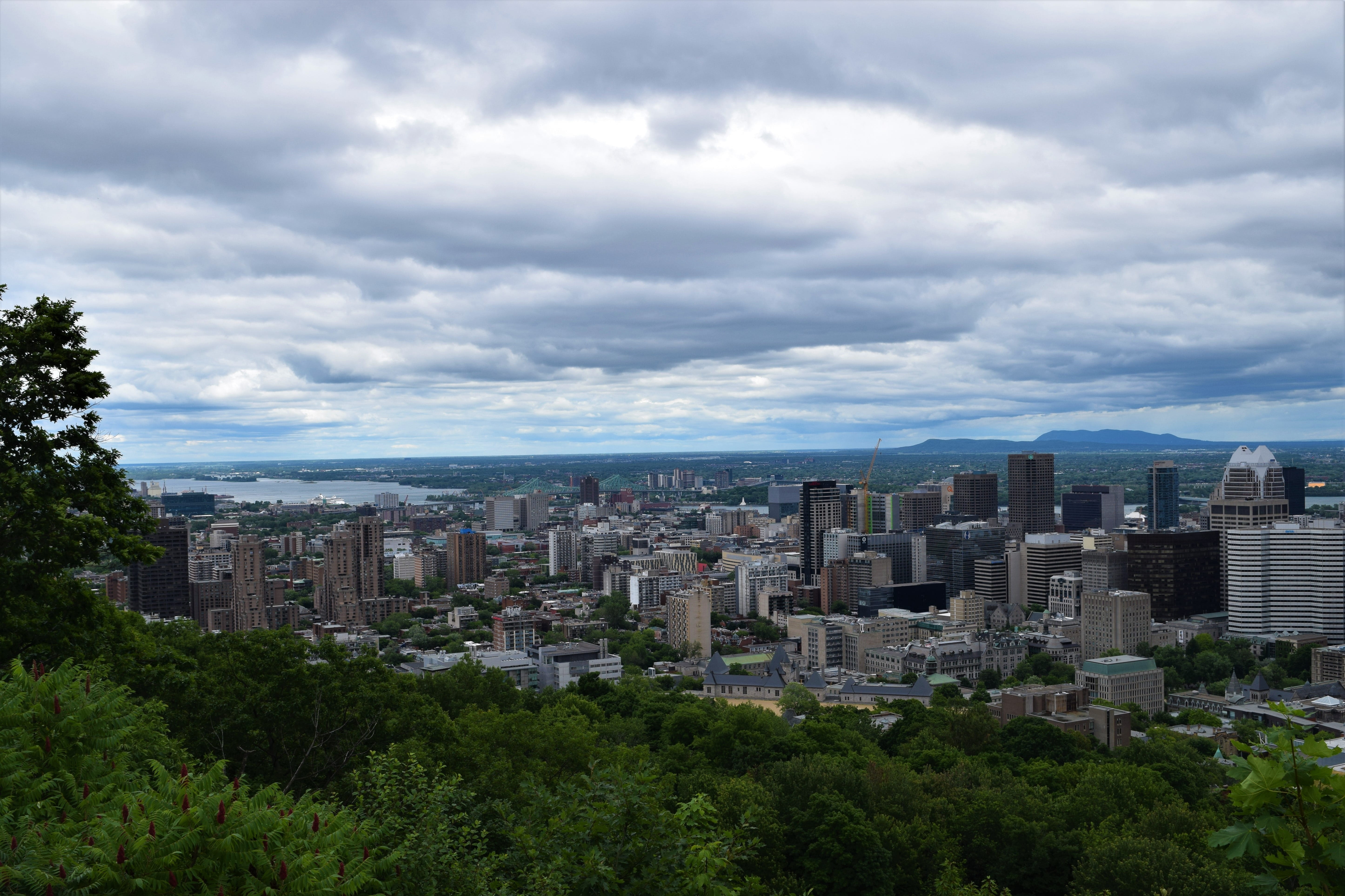 distance, building exterior, urban, tree, Downtown, architecture, forest, city, view, moody, high rise, perspective, trees, urban skyline, modern, river, HD Wallpaper