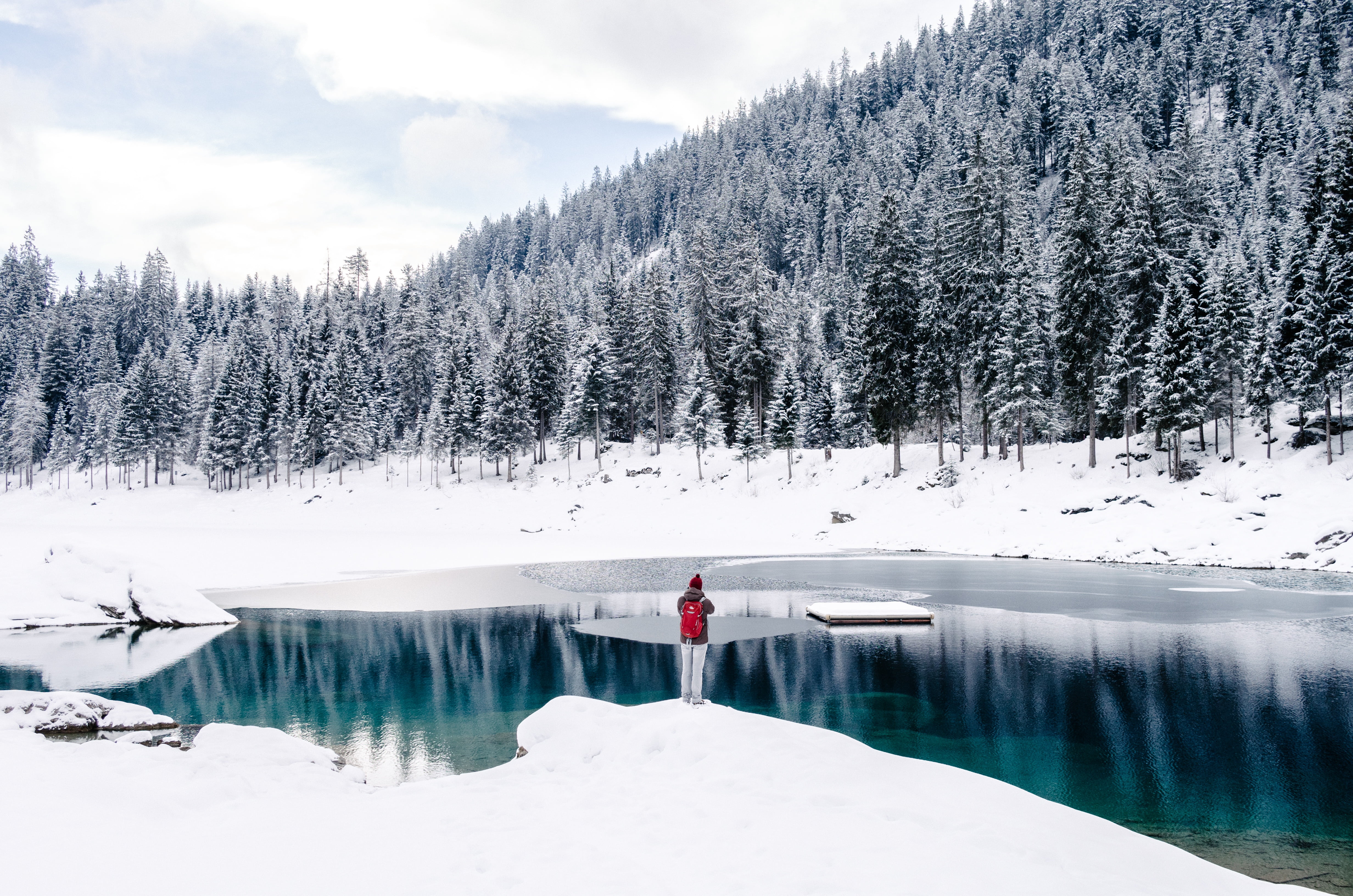 one person, tranquility, alone, man, full length, cold temperature, white, standing, real people, plant, only women, body, calm, one woman only, snow, day, HD Wallpaper
