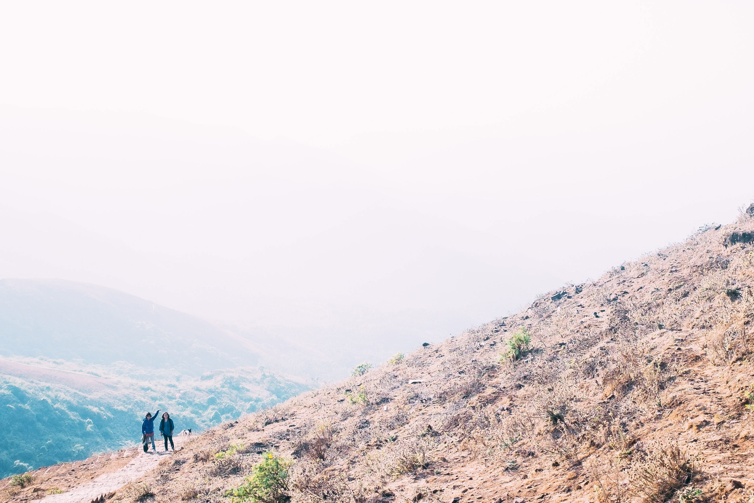 nature, chikkamagaluru, mountain, activity, men, tiny people, real people, lifestyles, two people, scenics - nature, people, adventure, sky, day, tranquility, HD Wallpaper