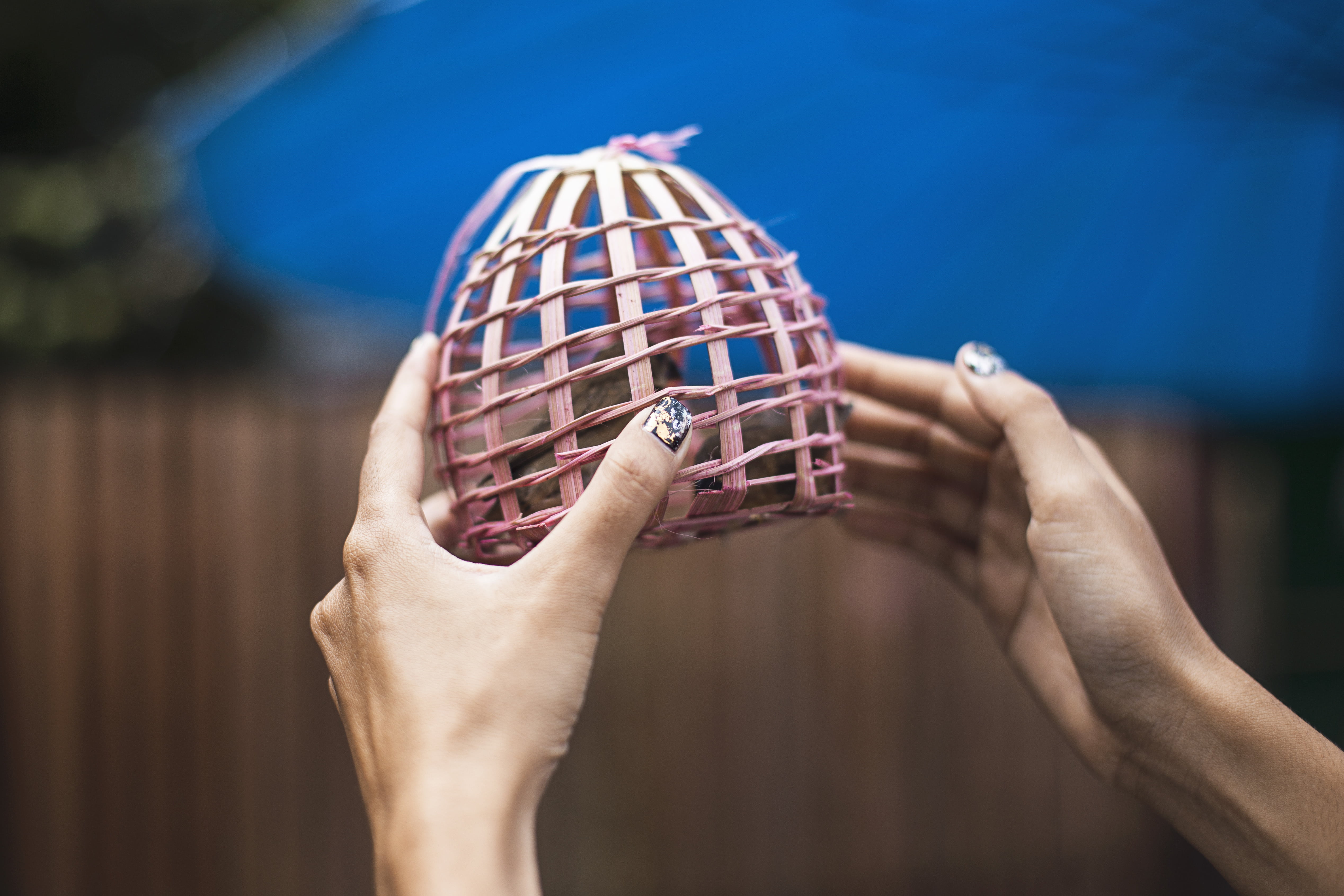 body part, cage, silver colored, tiny, person, people, focus on foreground, human finger, 4K, wrist, human limb, adult, human body part, birdcage, day, HD Wallpaper