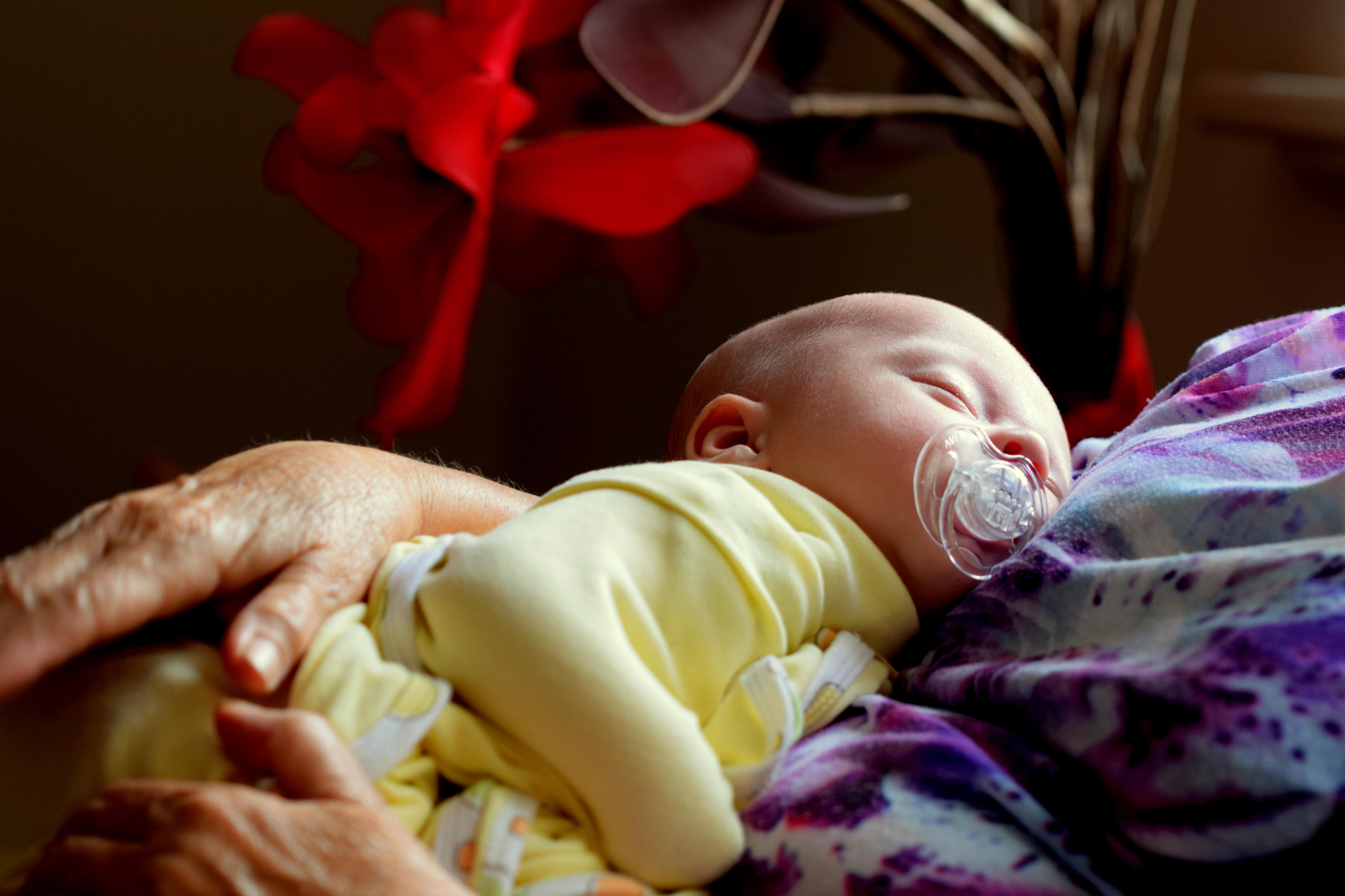 hands, life, toddler, close-up, 5K, relaxation, innocence, son, babyhood, indoors, precious, young, child, people, eyes closed, tiny, newborn, new life, HD Wallpaper
