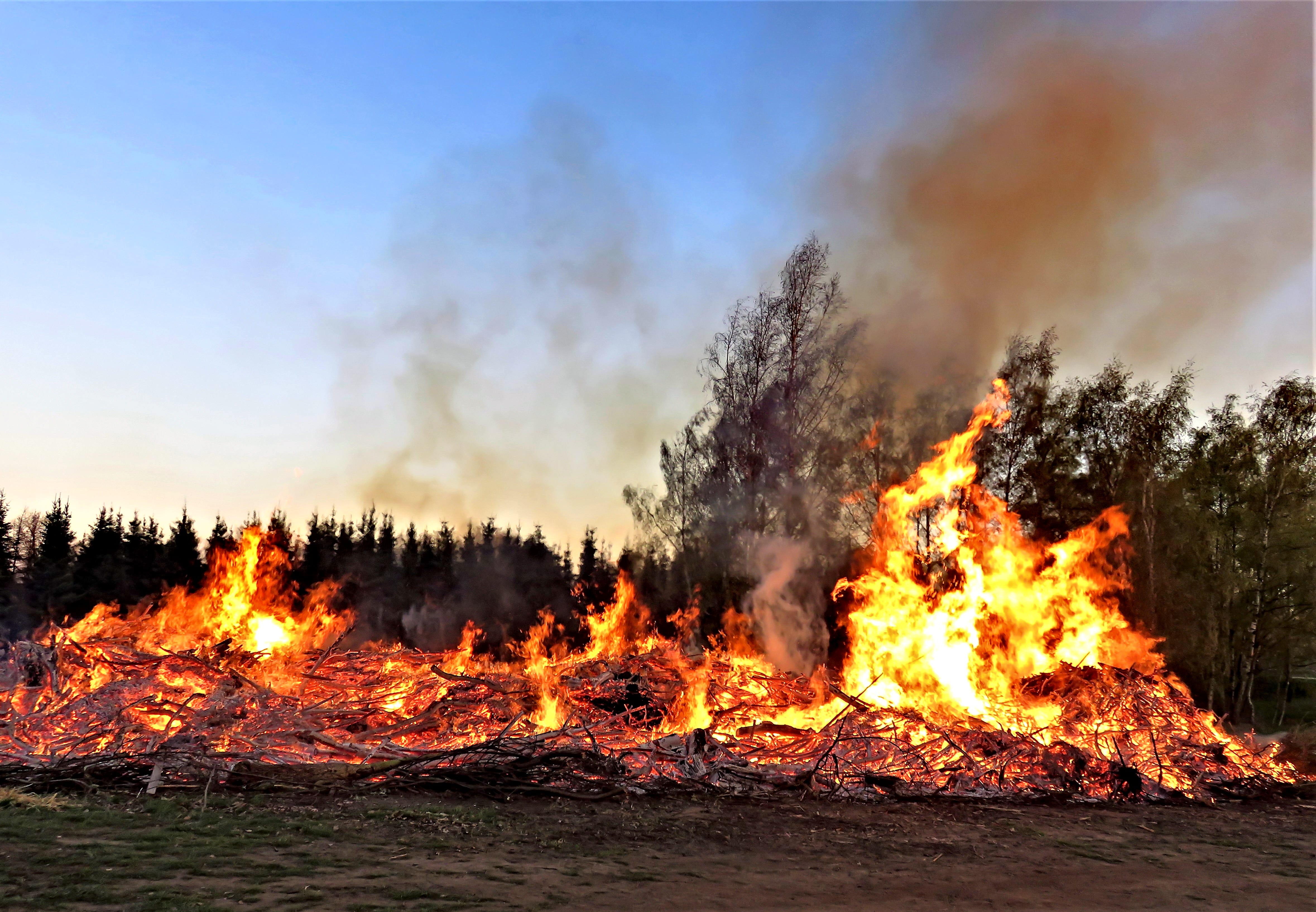 glowing, blaze, customs, heat - temperature, tree, pollution, wood, smoke - physical structure, heat, outdoors, sky, environmental issues, need old, evening meeting point, HD Wallpaper