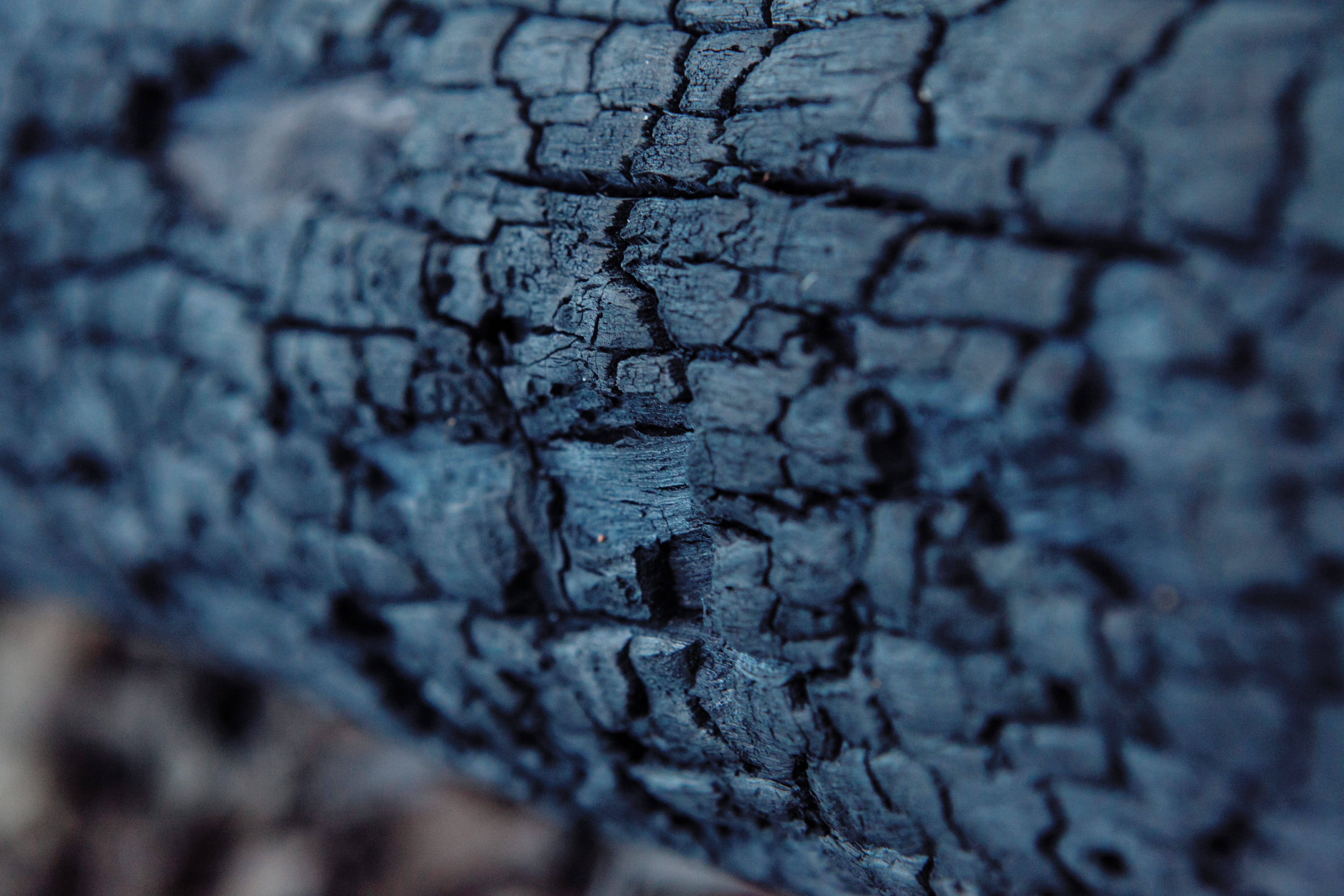 gerigal, walkway, textured, macro, pavement, fire, day, wheel, australia, sidewalk, wood, tree, close-up, pattern, bush, outdoors, coal, rubber, saint ives, HD Wallpaper