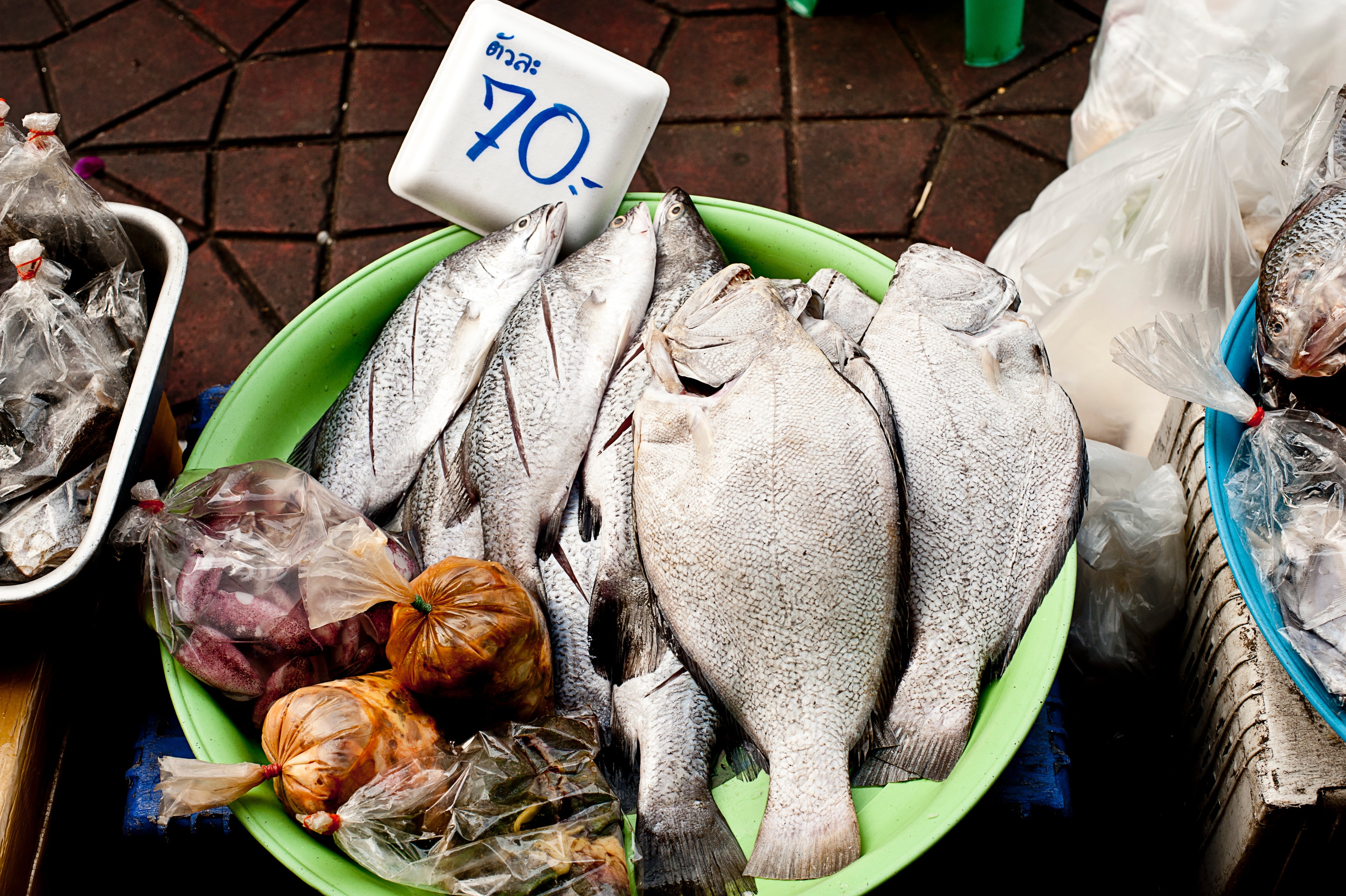 pack, gray, fishes, container, photo, uncook, meat, seafood, wet, variation, no people, business, 4K, price tag, green, day, indoors, retail display, high angle view, HD Wallpaper