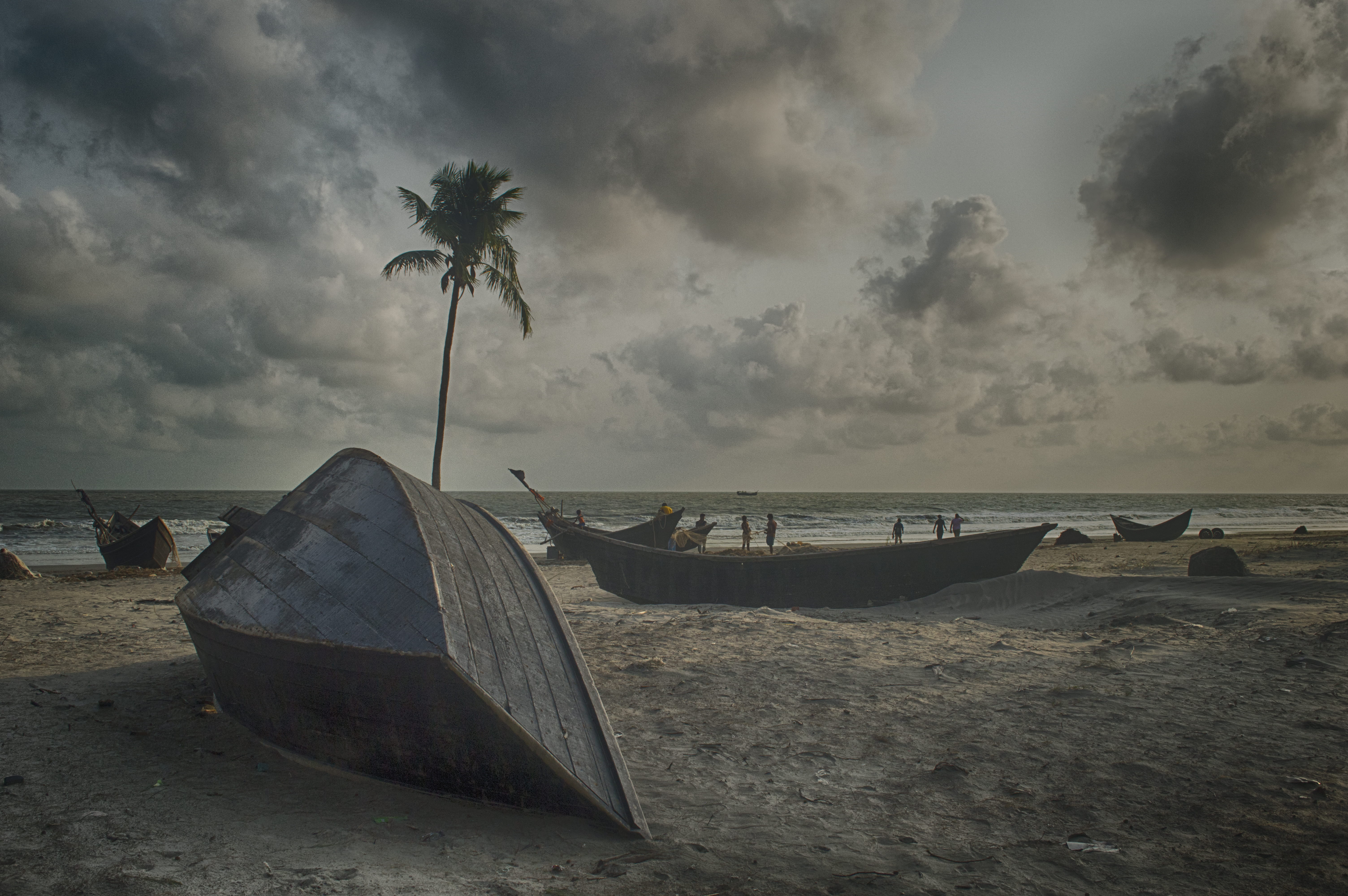 tropical climate, sand, palm tree, sky, land, bangladesh, cloudy, boat, moored, transportation, cloud - sky, tree, outdoors, beach, mode of transportation, HD Wallpaper