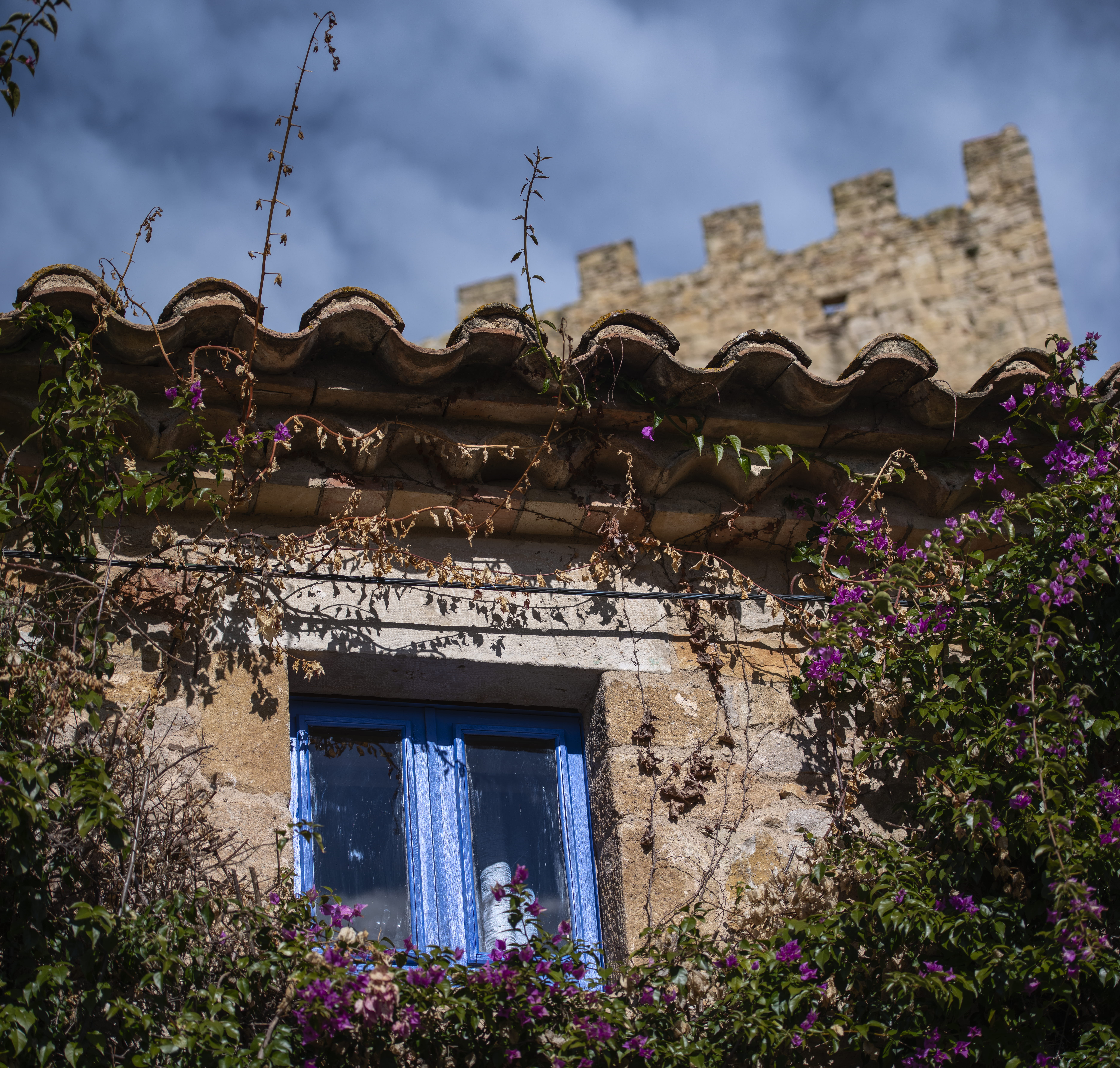 flower, house, nature, building exterior, ventana, day, stone, plant, castell, roof, no people, sky, piedra, spain, growth, castillo, purple, 5K, outdoors, HD Wallpaper