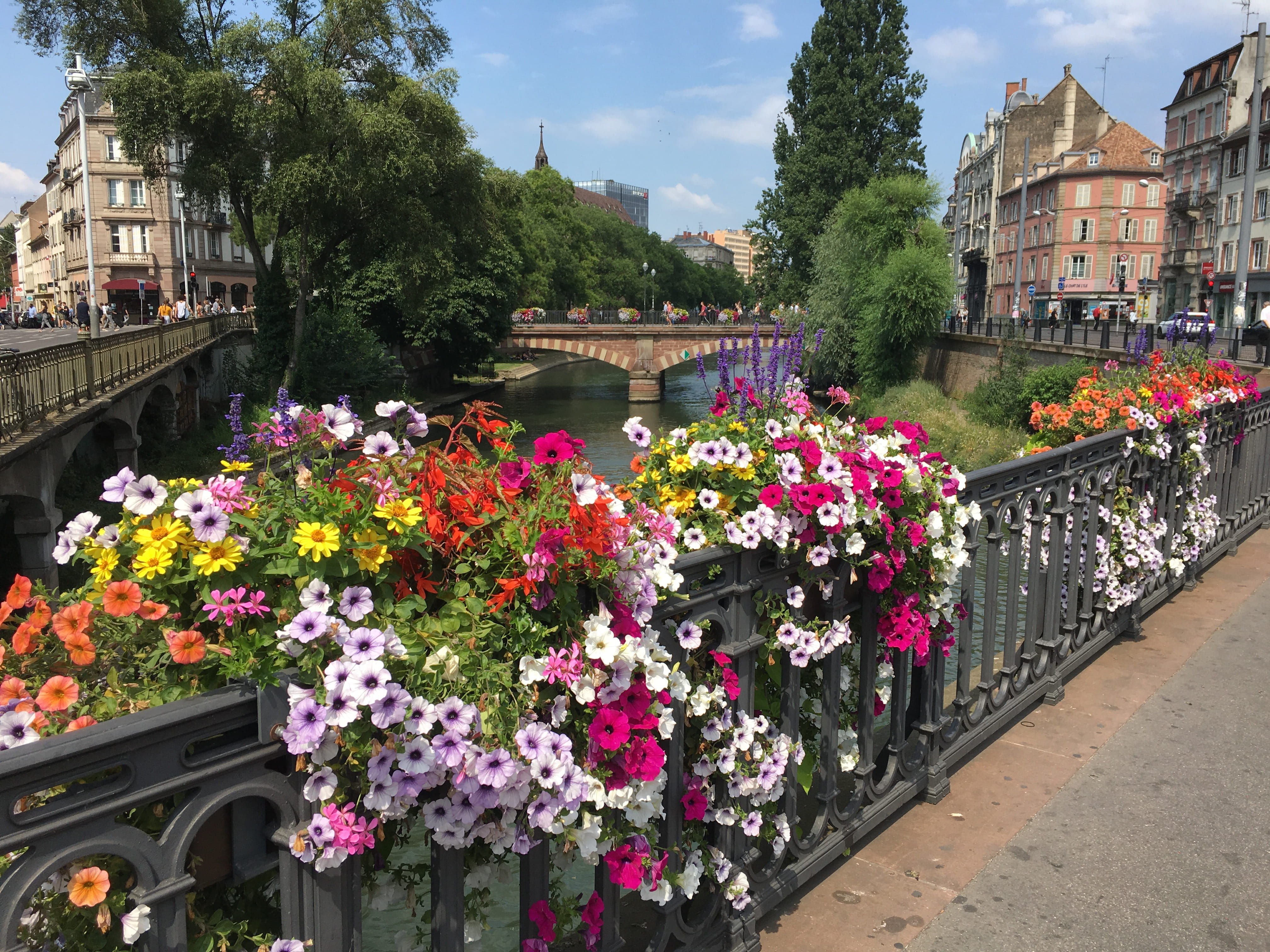 building, vulnerability, canal, vehicle, handrail, architecture, 4K, flower arrangement, flower, city, person, day, geranium, bridge - man made structure, HD Wallpaper