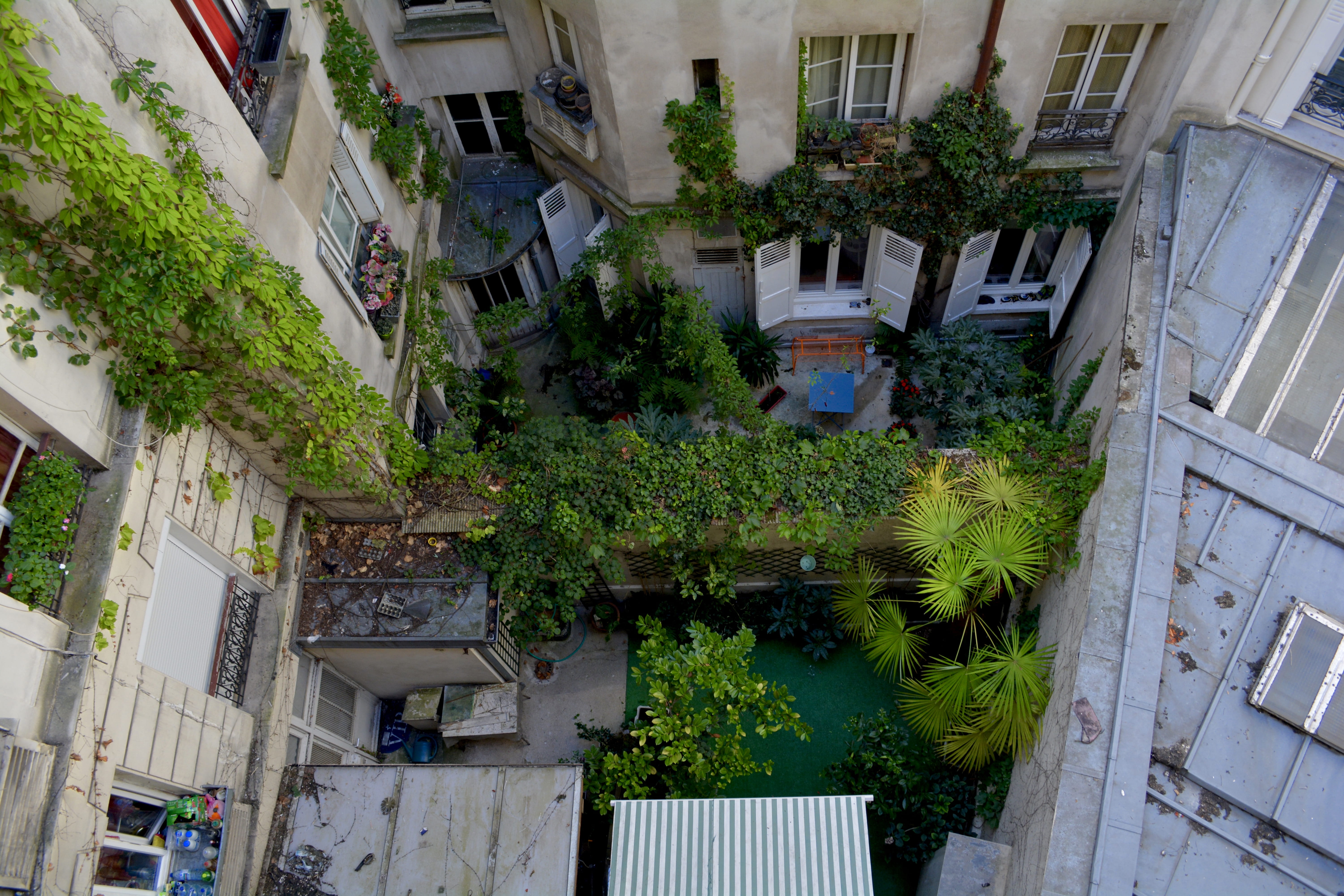 residential district, high rise, paris, high angle view, growth, town, garden, building, balcony, window, outdoors, nature, flagstone, urban, house, day, HD Wallpaper
