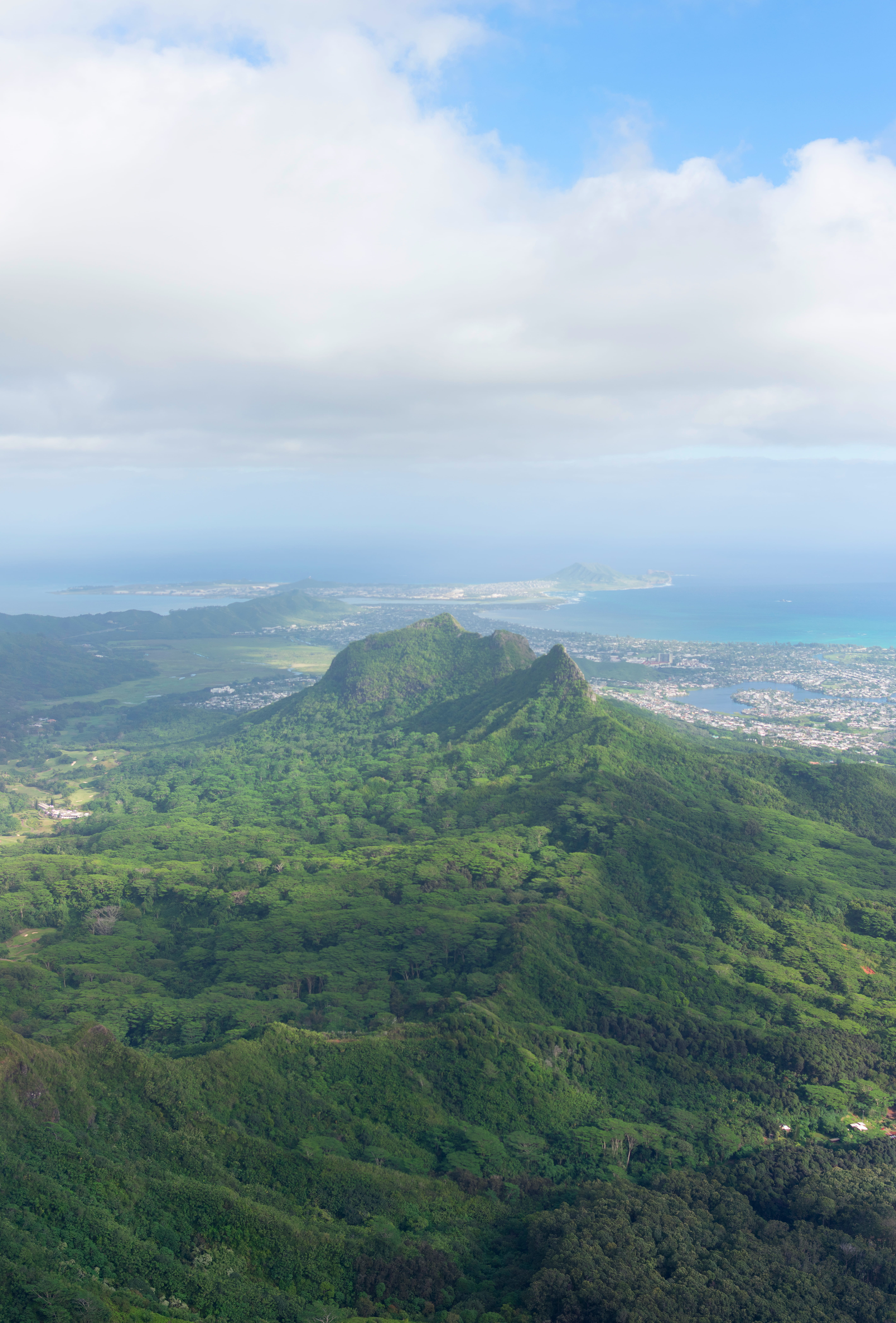high-rise, wiliwilinui ridge trail, state park, non-urban scene, mountains, oahu, outdoor, no people, wilderness, green color, diamond head, tiki, day, Phone HD Wallpaper