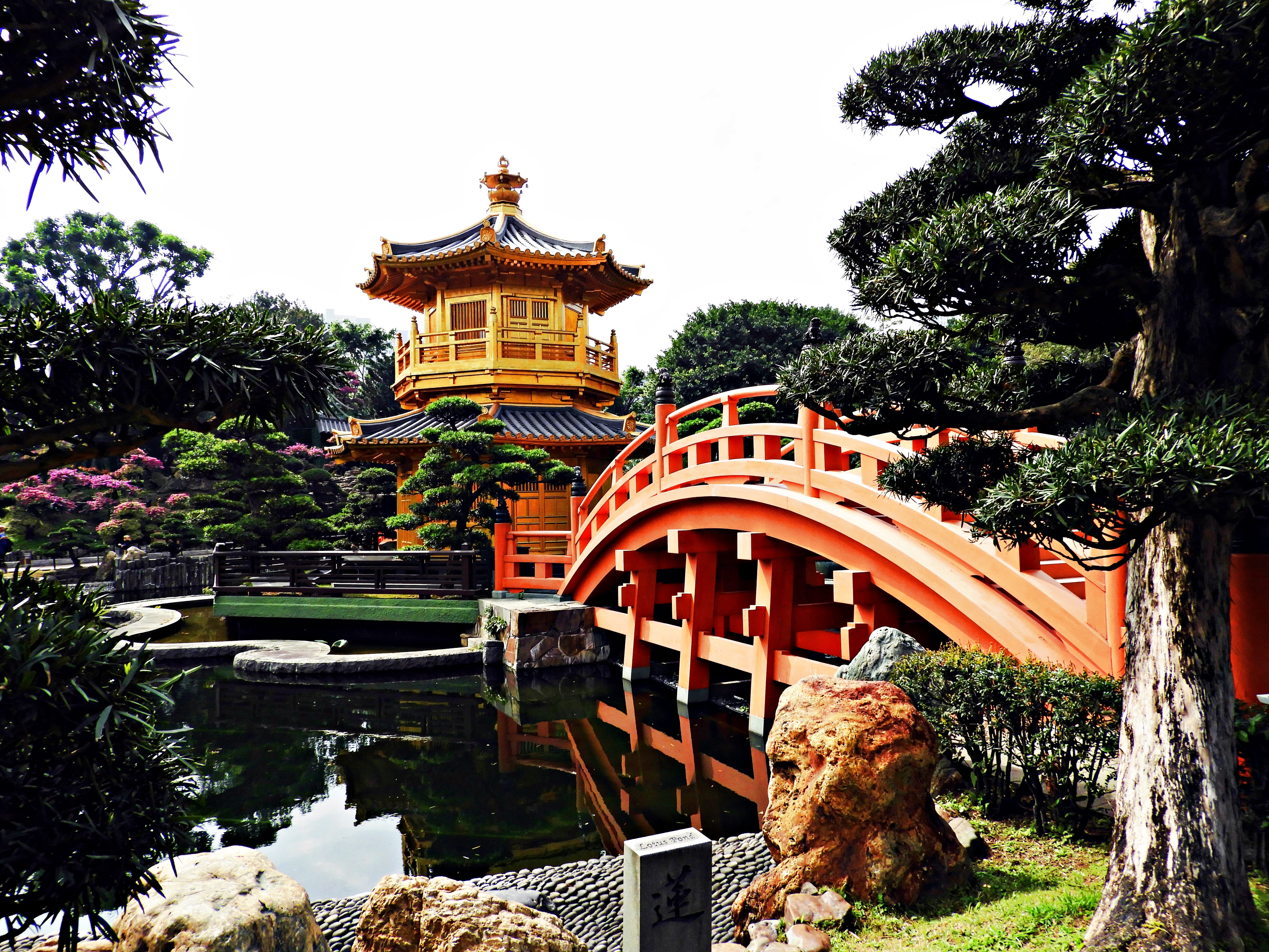 nan lian garden, day, grass, building, temple, bridge, hong kong, travel destinations, tree, garden, chinese garden, arbour, 5K, water, built structure, HD Wallpaper