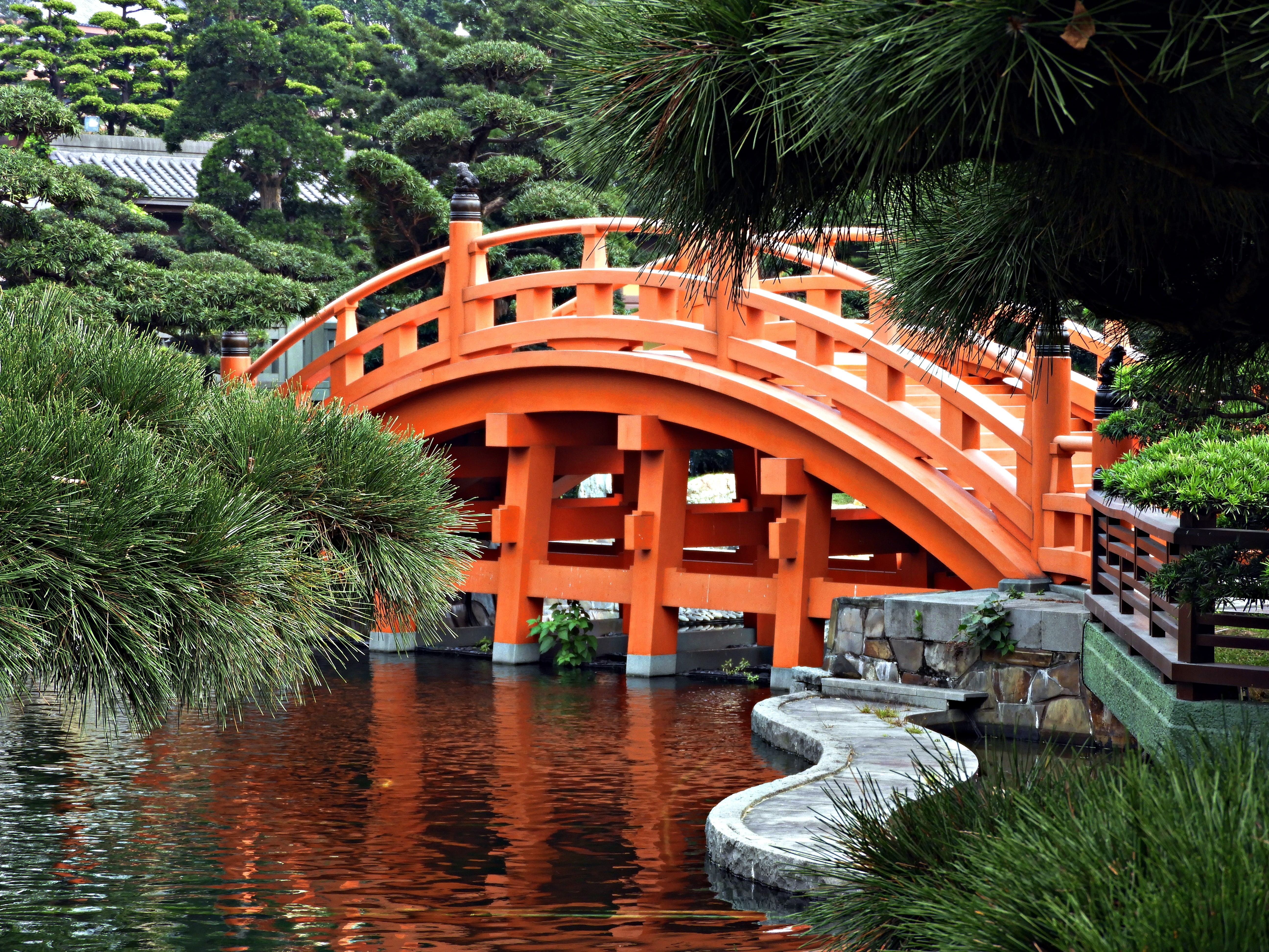 transportation, potted plant, bridge, connection, growth, grass, chinese garden, no people, built structure, building, palm tree, green color, footbridge, HD Wallpaper