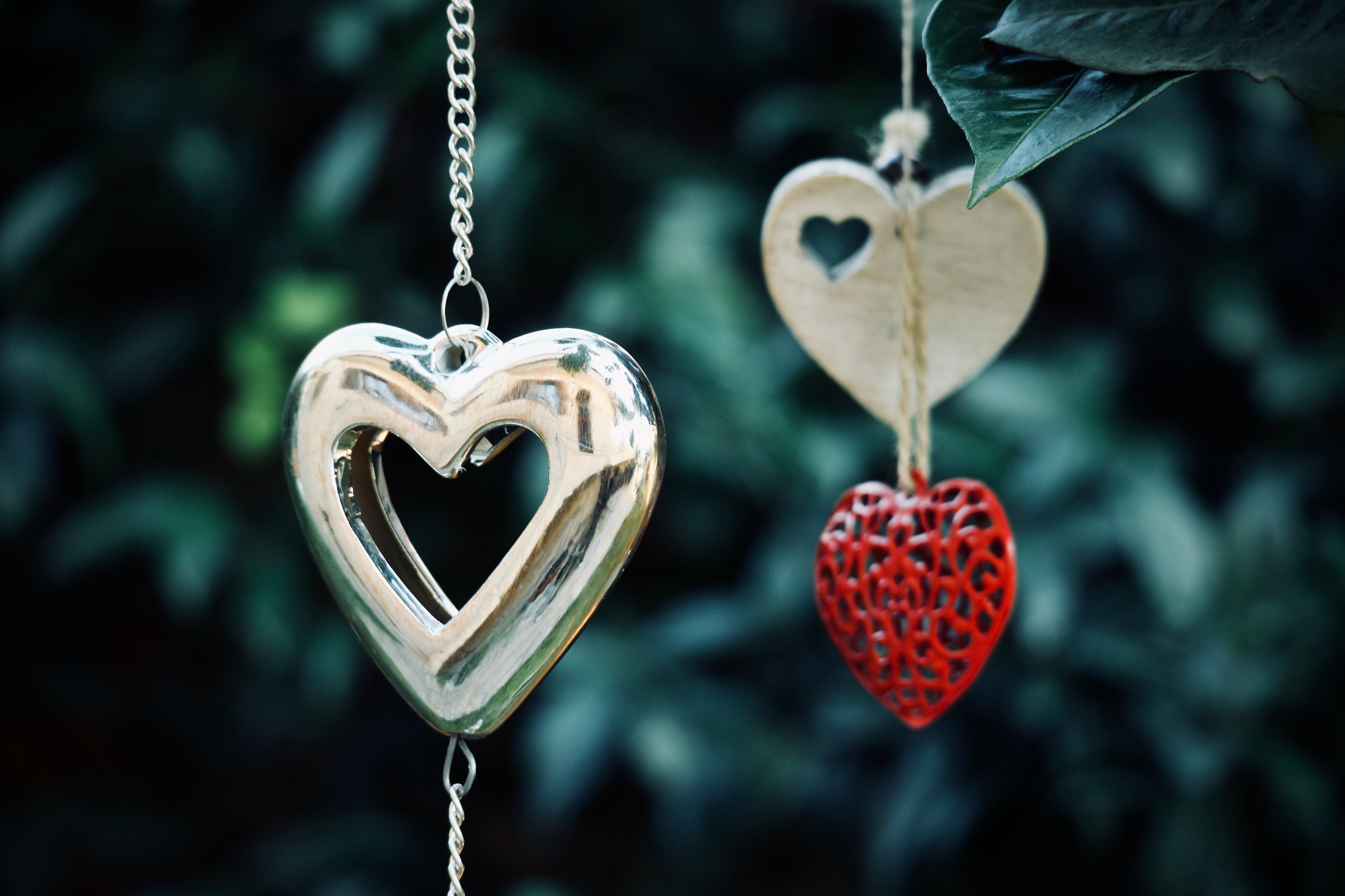 love, serenity, food and drink, outdoors, heart, feeling, heart shape, hanging, no people, fruit, valentines day - holiday, lightness, together, lovers, HD Wallpaper