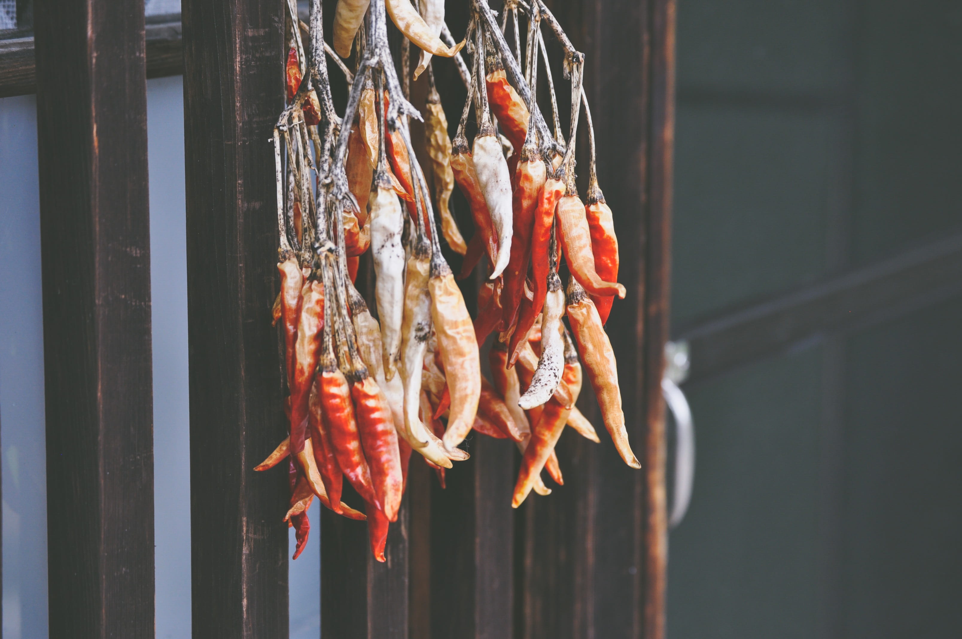 daytime, outdoors, focus on foreground, travel, chili peppers, vertebrate, seafood, string, dry, dried, produce, market, meat, wellbeing, crustacean, for sale, HD Wallpaper