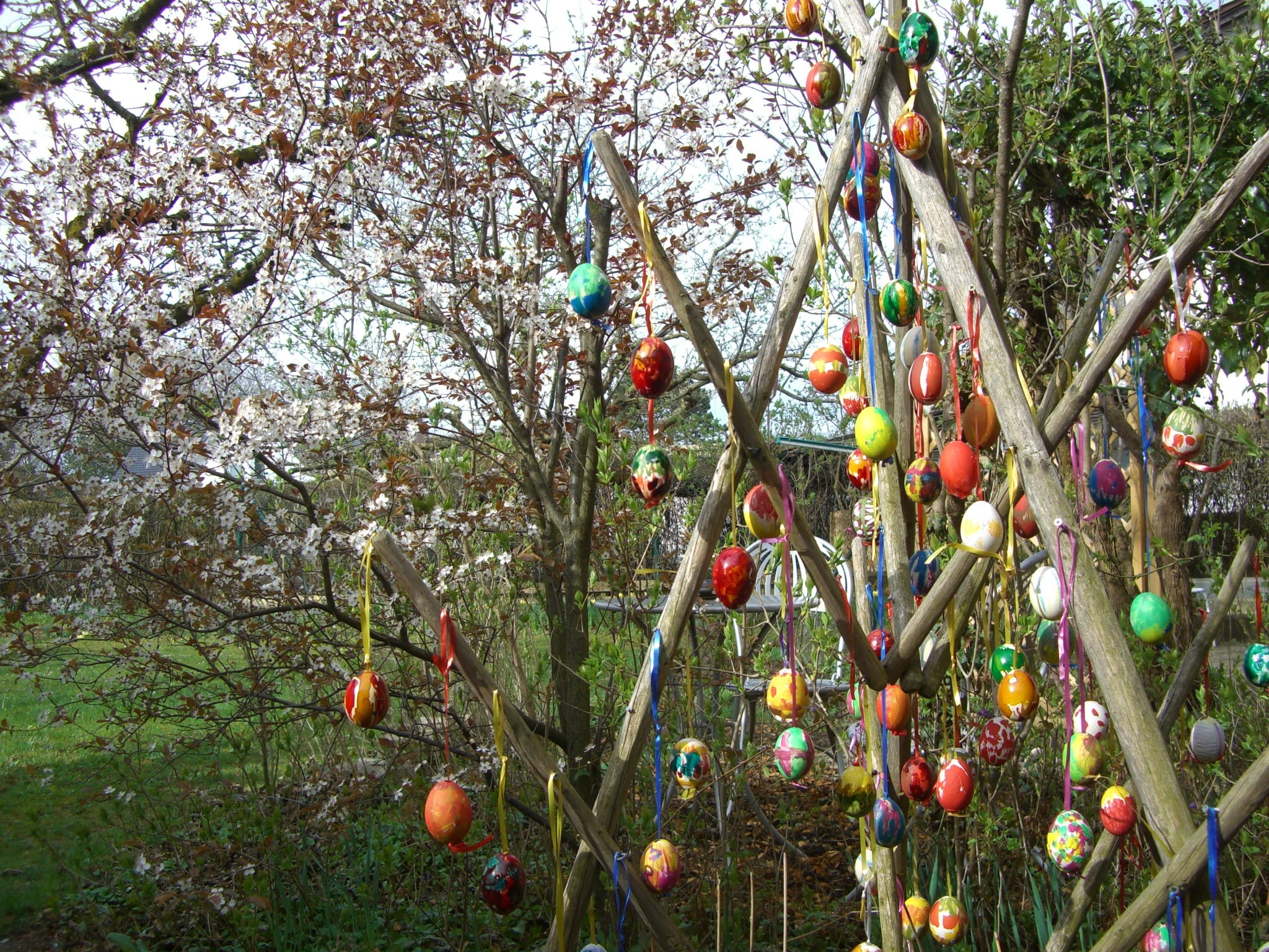 egg tree, paint, blown out, easter eggs, flowering plant, no people, easter egg, wellbeing, hay tab, heinze, three goat riders, fruit, red, nature, easter, HD Wallpaper