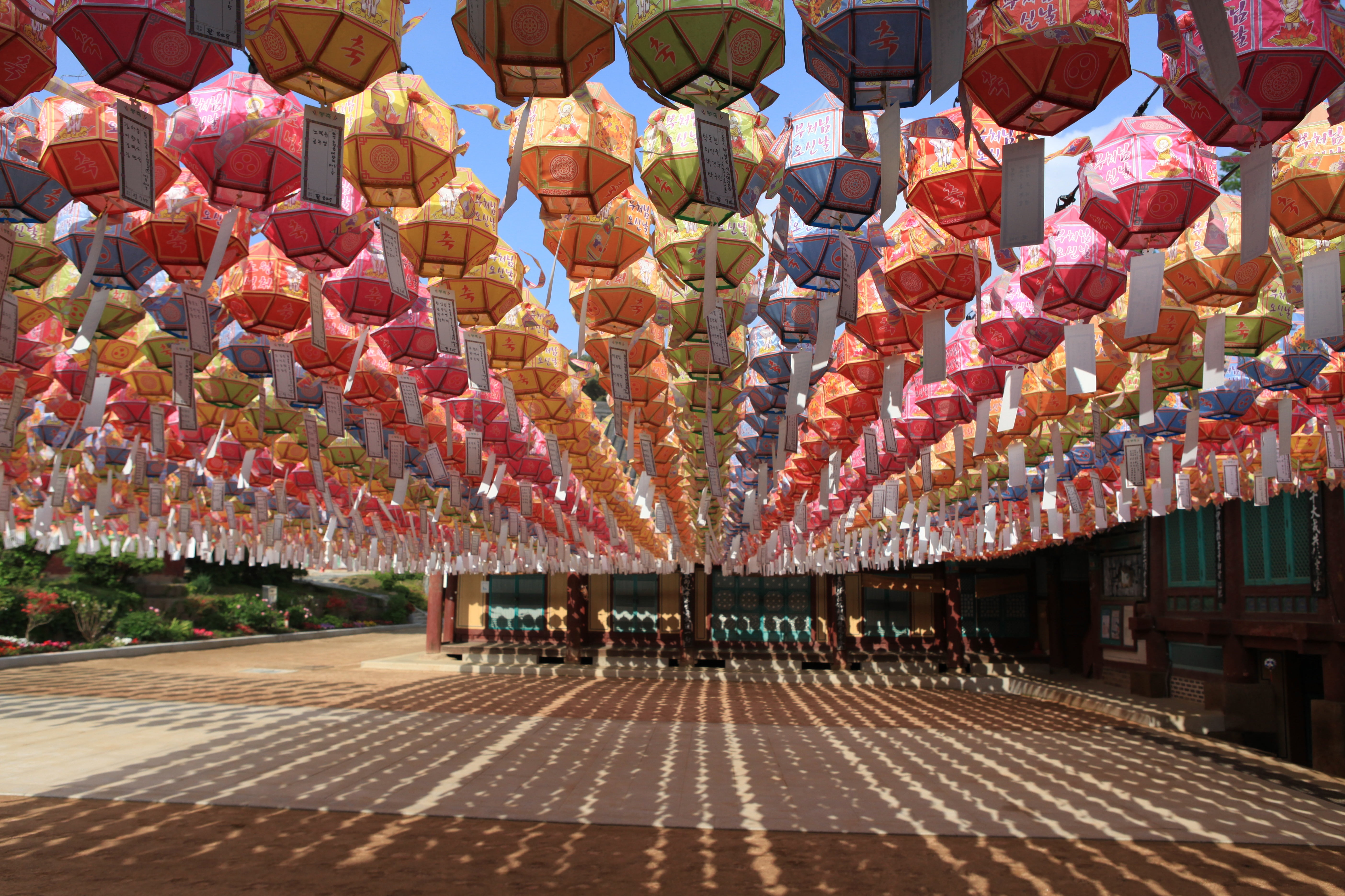 lighting equipment, color, event, religion, abundance, no people, decoration, lantern, belief, genesis, assorted, chinese lantern, multi colored, 5K, chinese new year, HD Wallpaper