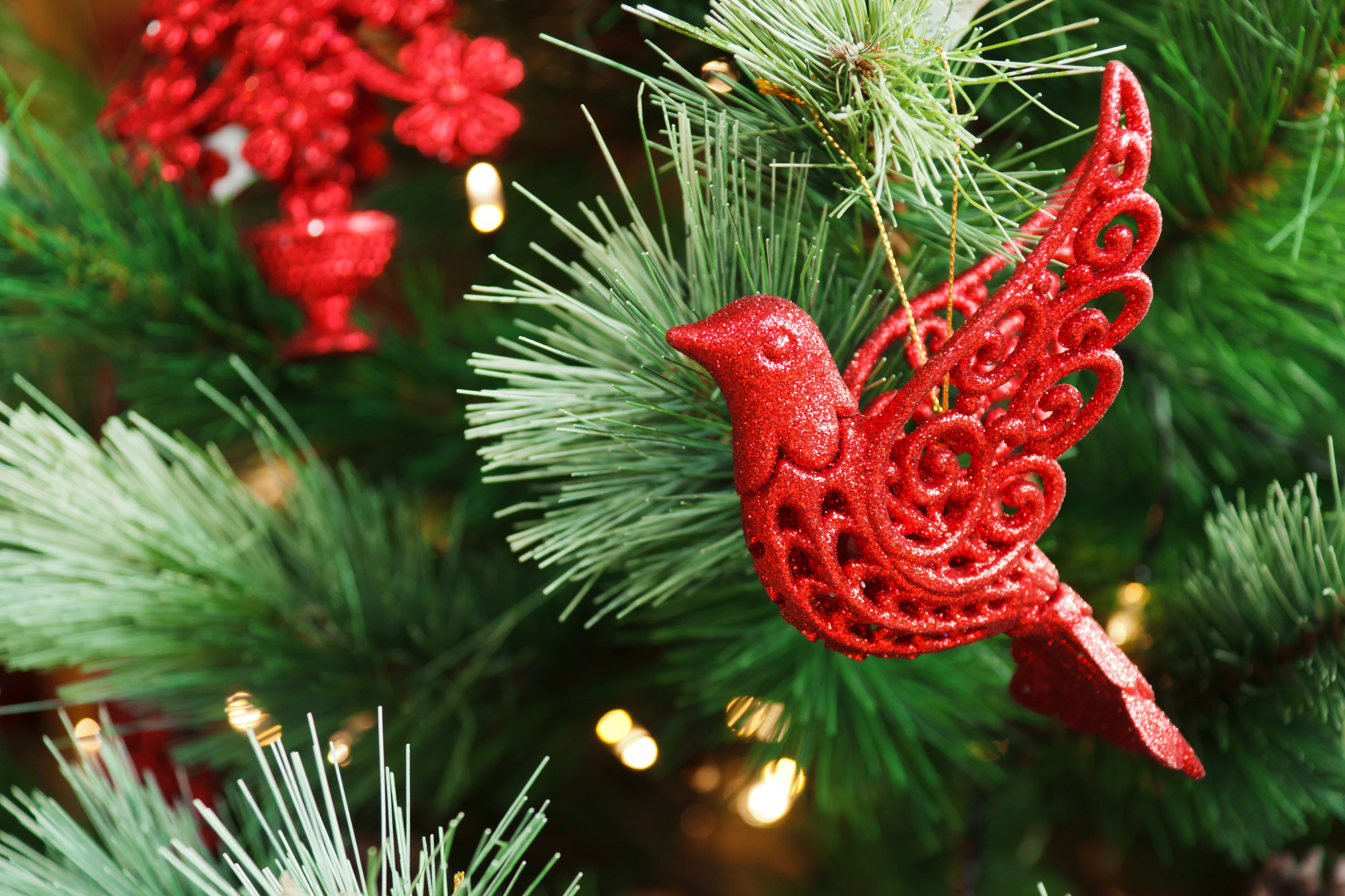 holiday, xmas, celebration event, needle - plant part, nature, no people, bird, ornament, close-up, beauty in nature, Branch, decorate, winter, hung, decoration, HD Wallpaper