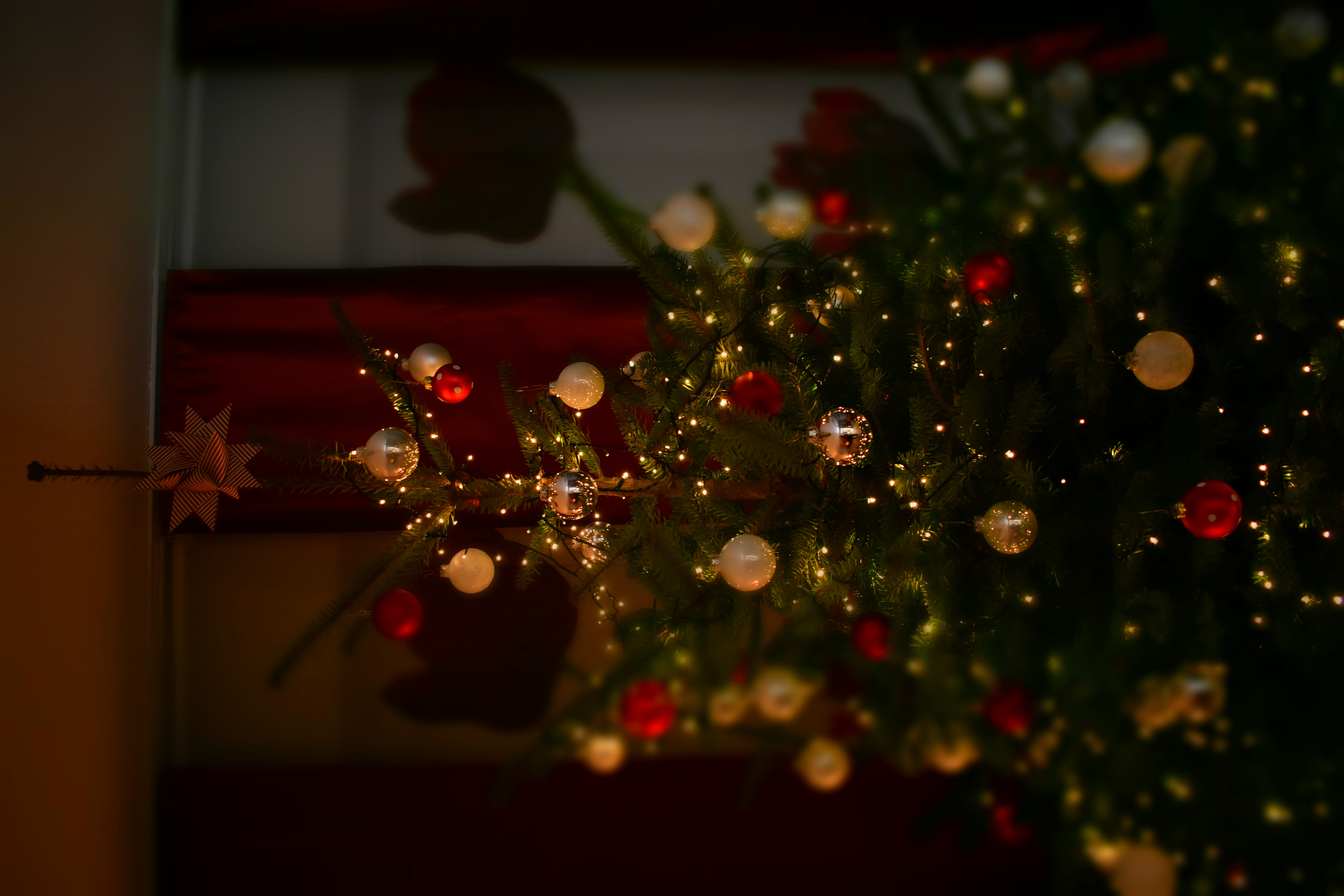 5K, celebration event, religion, christmas tree, holiday - event, christmas, baubles, home interior, tree, holiday, decoration, close-up, christmas ornament, HD Wallpaper