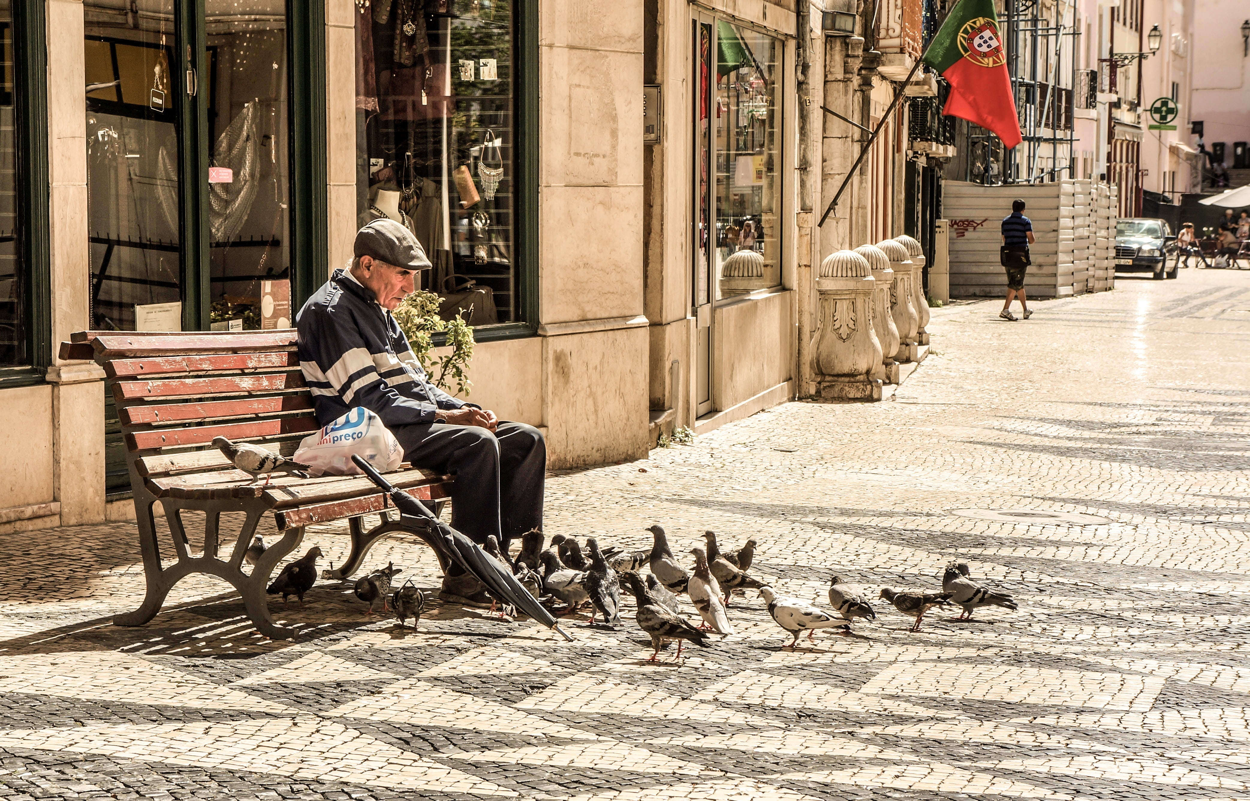 birds, men, old, animal wildlife, surrounded, mammal, animals, group of animals, elderly, urban Scene, domestic, portugal, sidewalk, bench, street, senior, HD Wallpaper