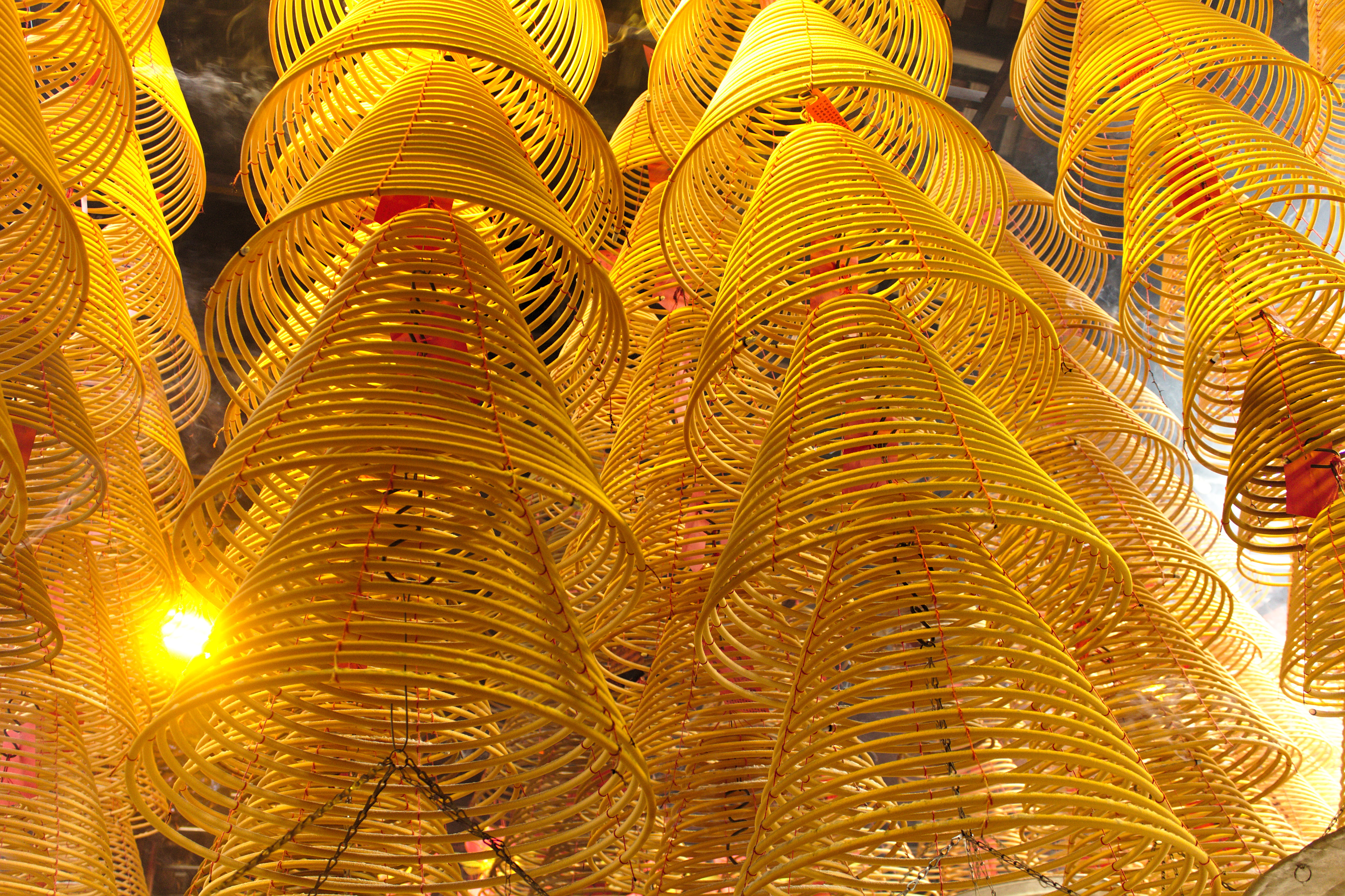 low angle view, coil, fir, illuminated, window display, ornate, backgrounds, clothing, plant, yellow, apparel, abundance, gold colored, fractal, decoration, HD Wallpaper